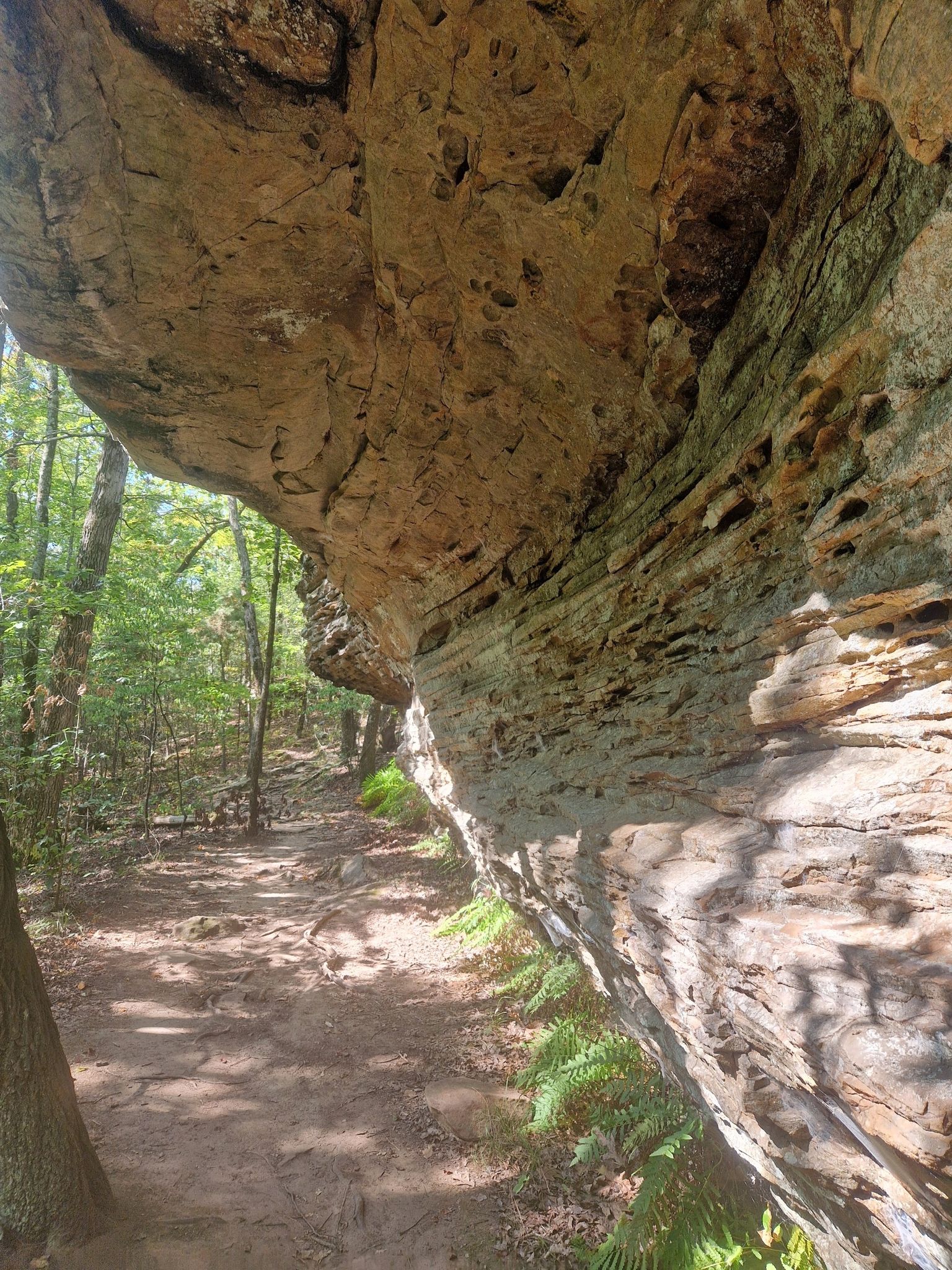 A massive rock overhang shades a dirt path in a forest. - Seven Hollows Trail