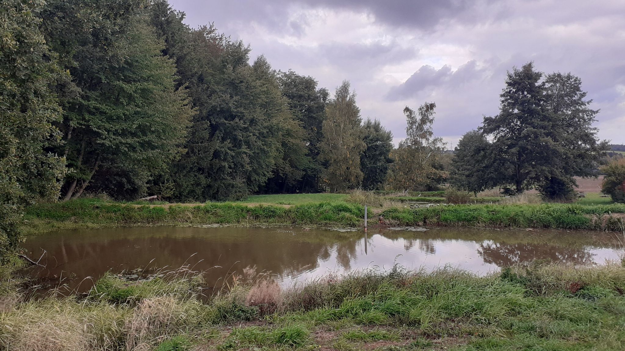 kleine Teiche