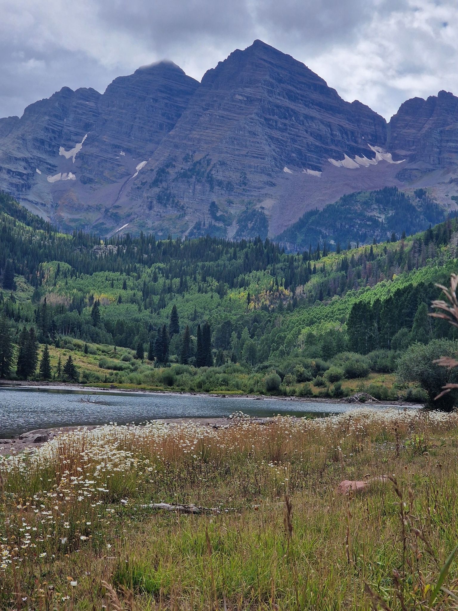 Overcast sky above rugged mountains, forested hills, calm lake, and wildflowers. - Crater Lake