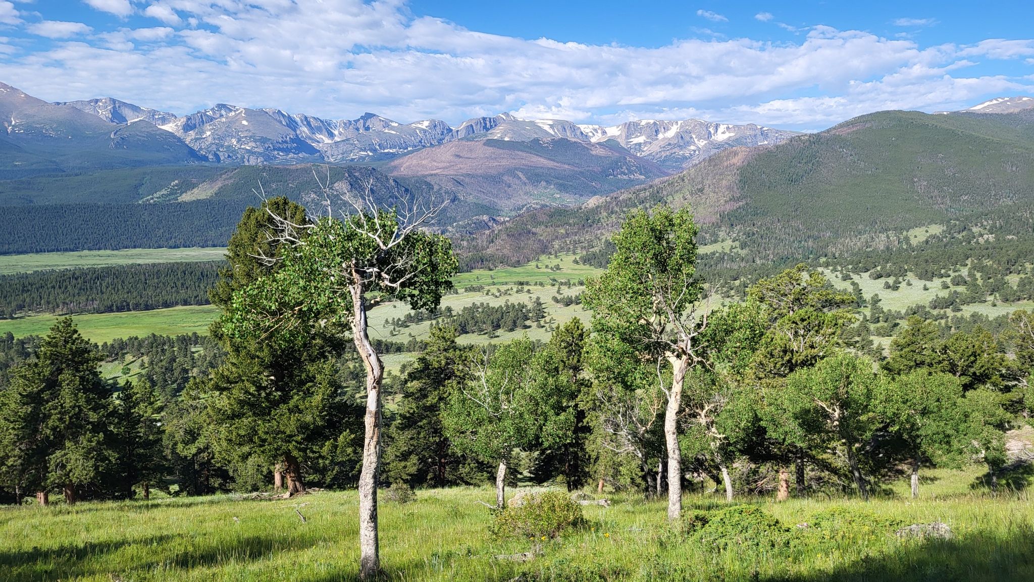 Snow-capped mountains overlook a green valley with scattered trees on a sunny day. - Deer Mountain Loop Trail