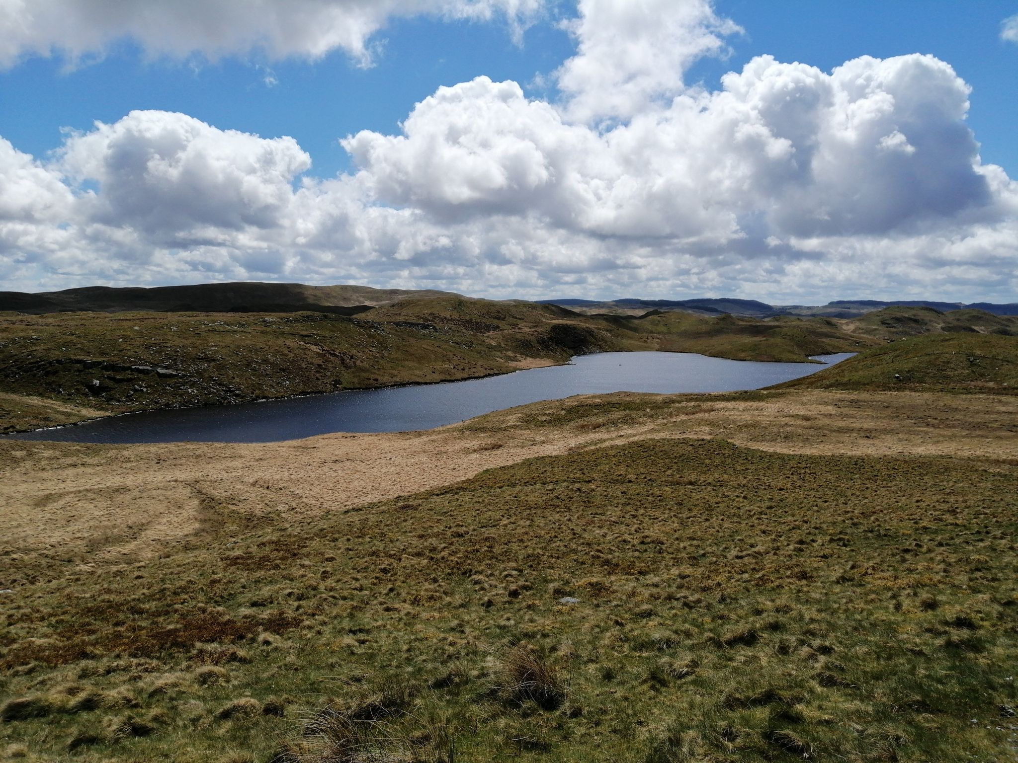 llyn teifi