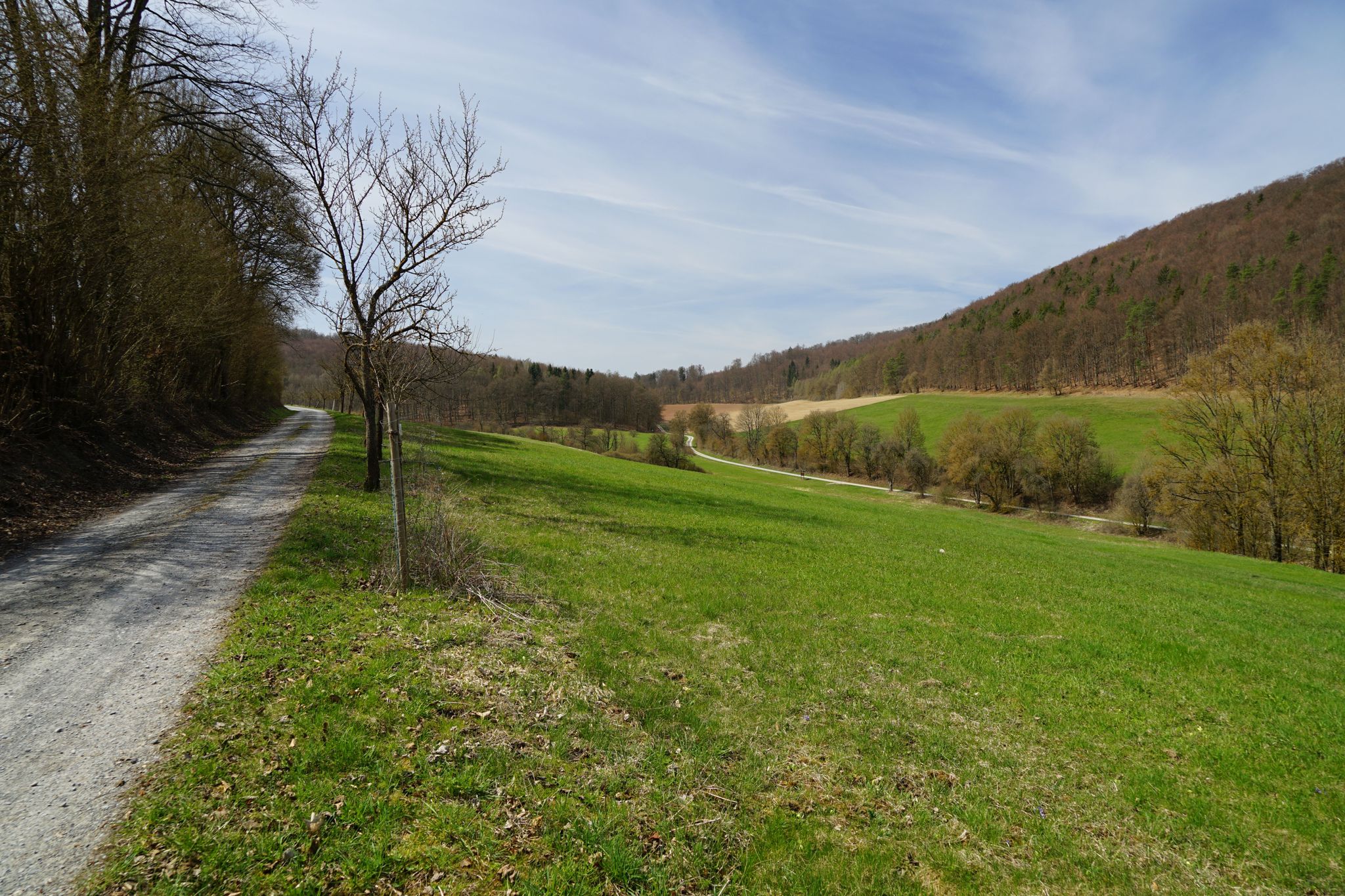 Schillerweg in Ri. Bauerbach
