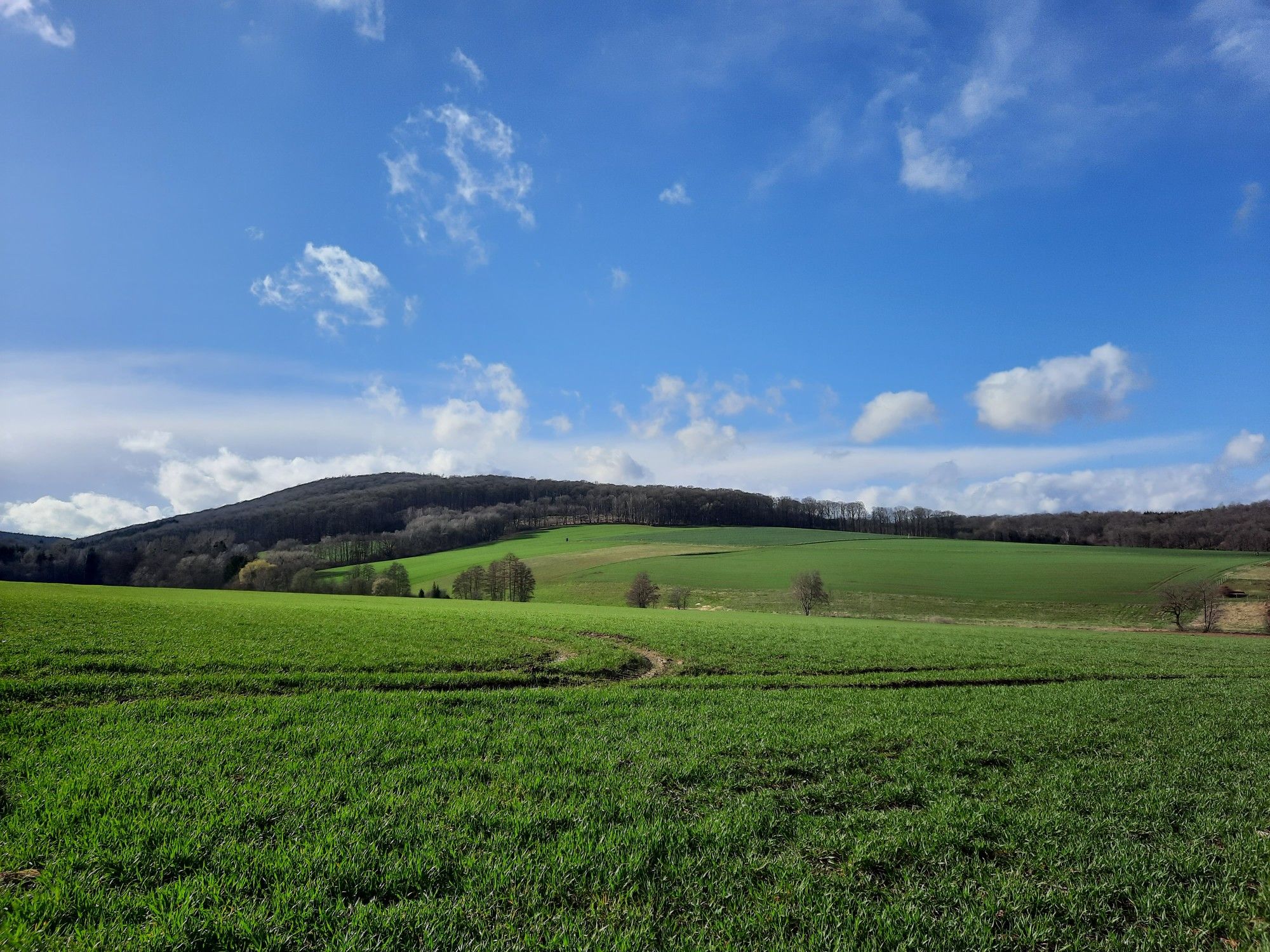 Ausblick