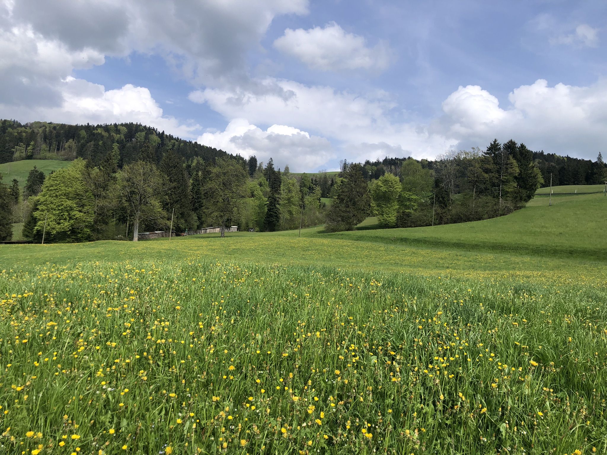 bei Gyrenbad- Blick zur Egg hinauf