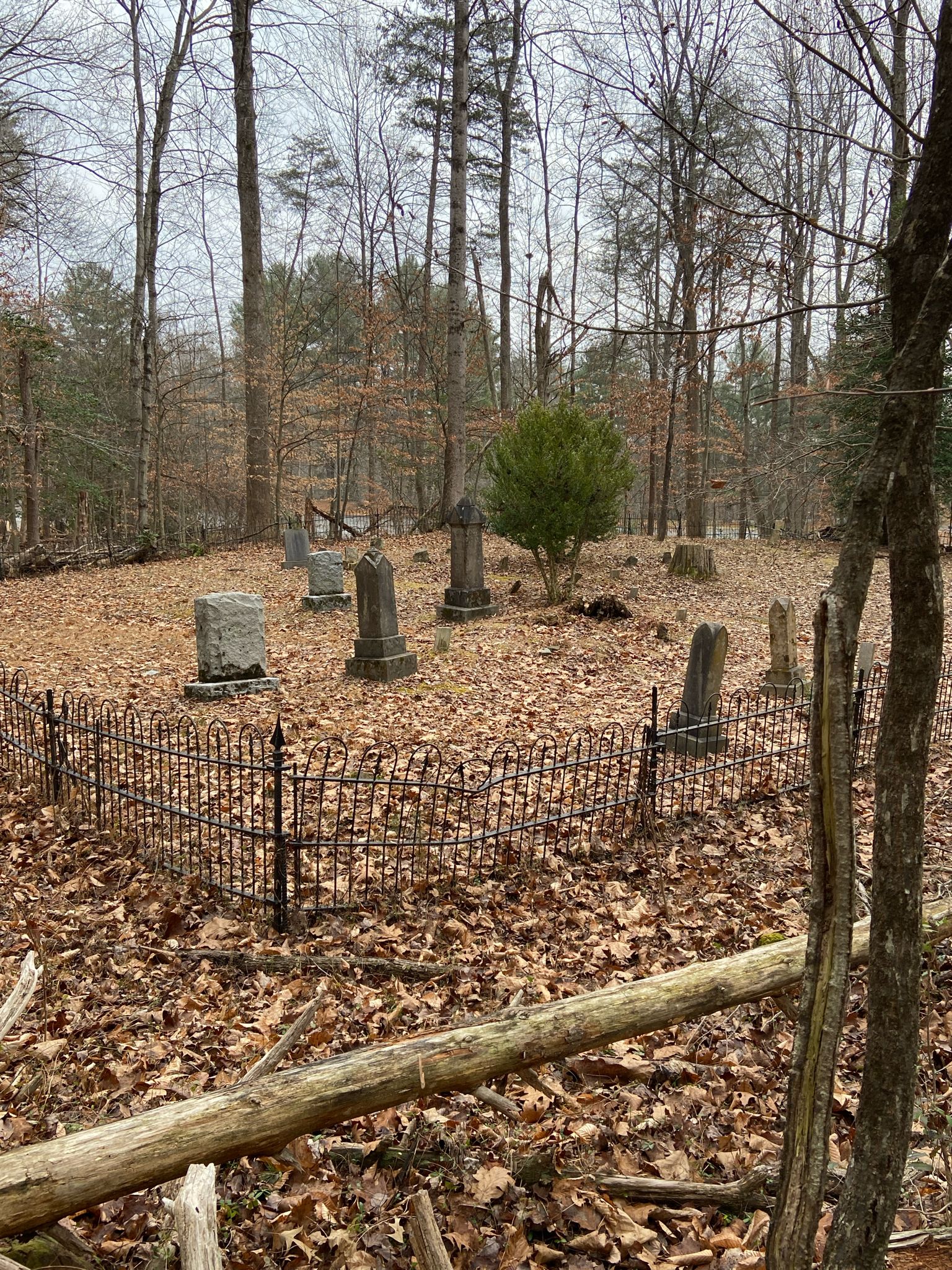 An old cemetery with weathered headstones surrounded by a metal fence in a bare forest. - Historic Family Cemetery loop from Fountainhead Regional Park