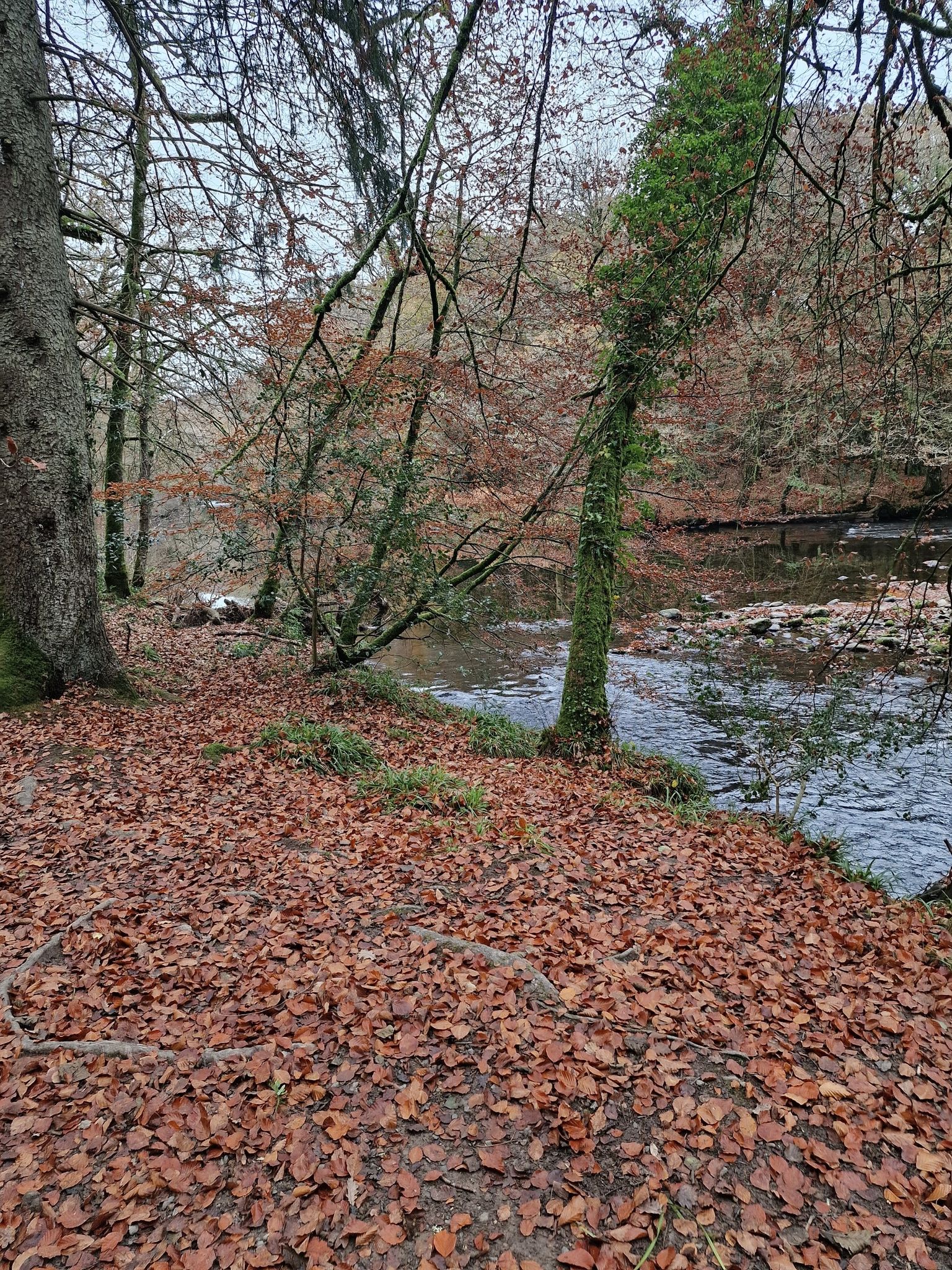 River