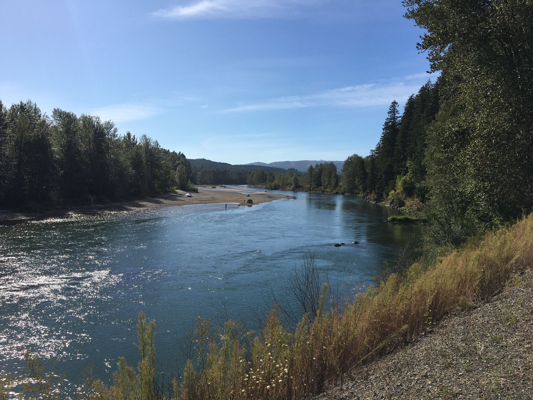 Wide river flowing between lush green forests under a bright blue sky. - Rocky Point – Riverfront Trail loop from Kelso-Longview