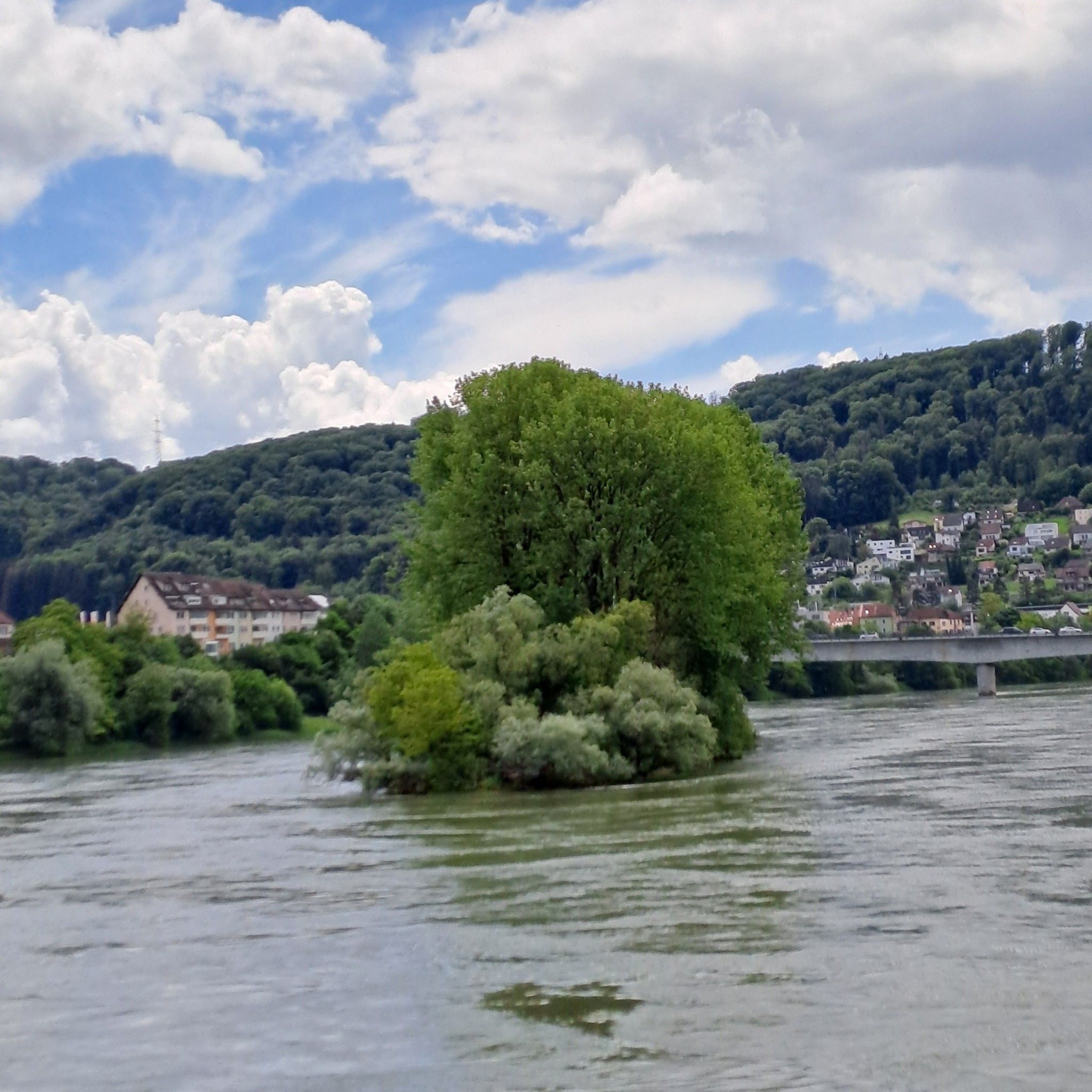 Friedolins-Insel