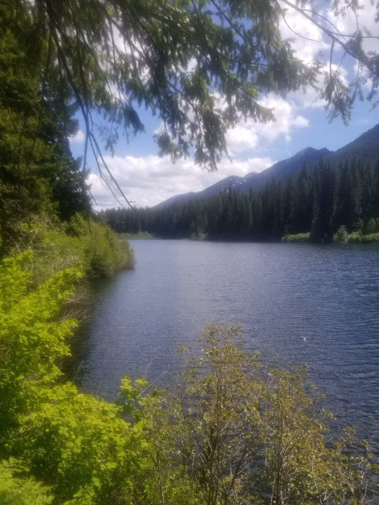Calm lake surrounded by lush green trees and distant mountains under a bright sky. - Twin Lakes Trail