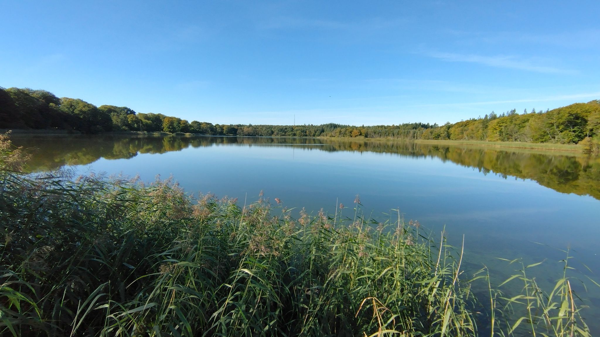 Seeblick
