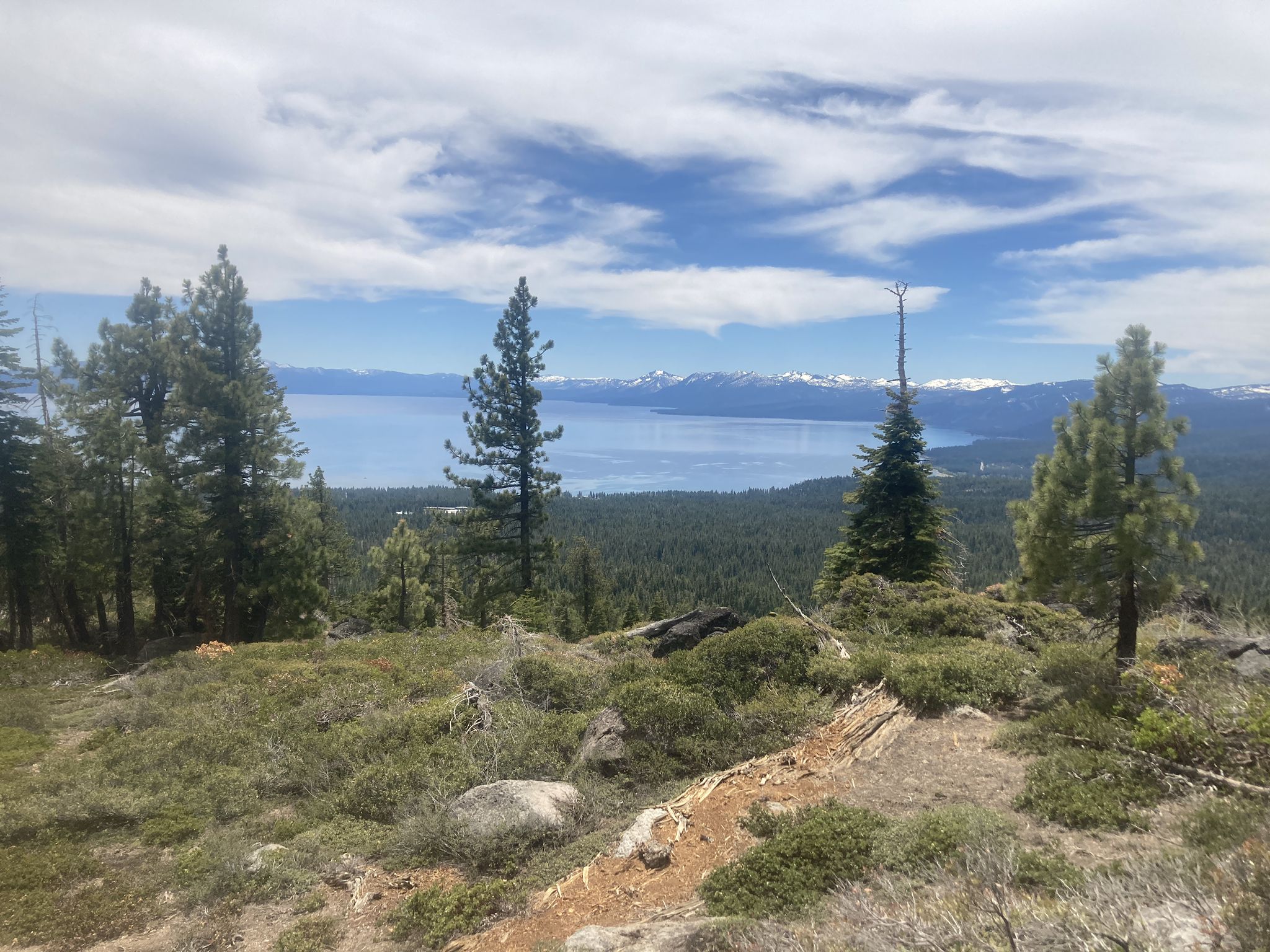 Elevated view of a large lake, dense forest, and distant snow-capped mountains. - Tahoe Rim Trail: Tahoe City to Brockway Summit