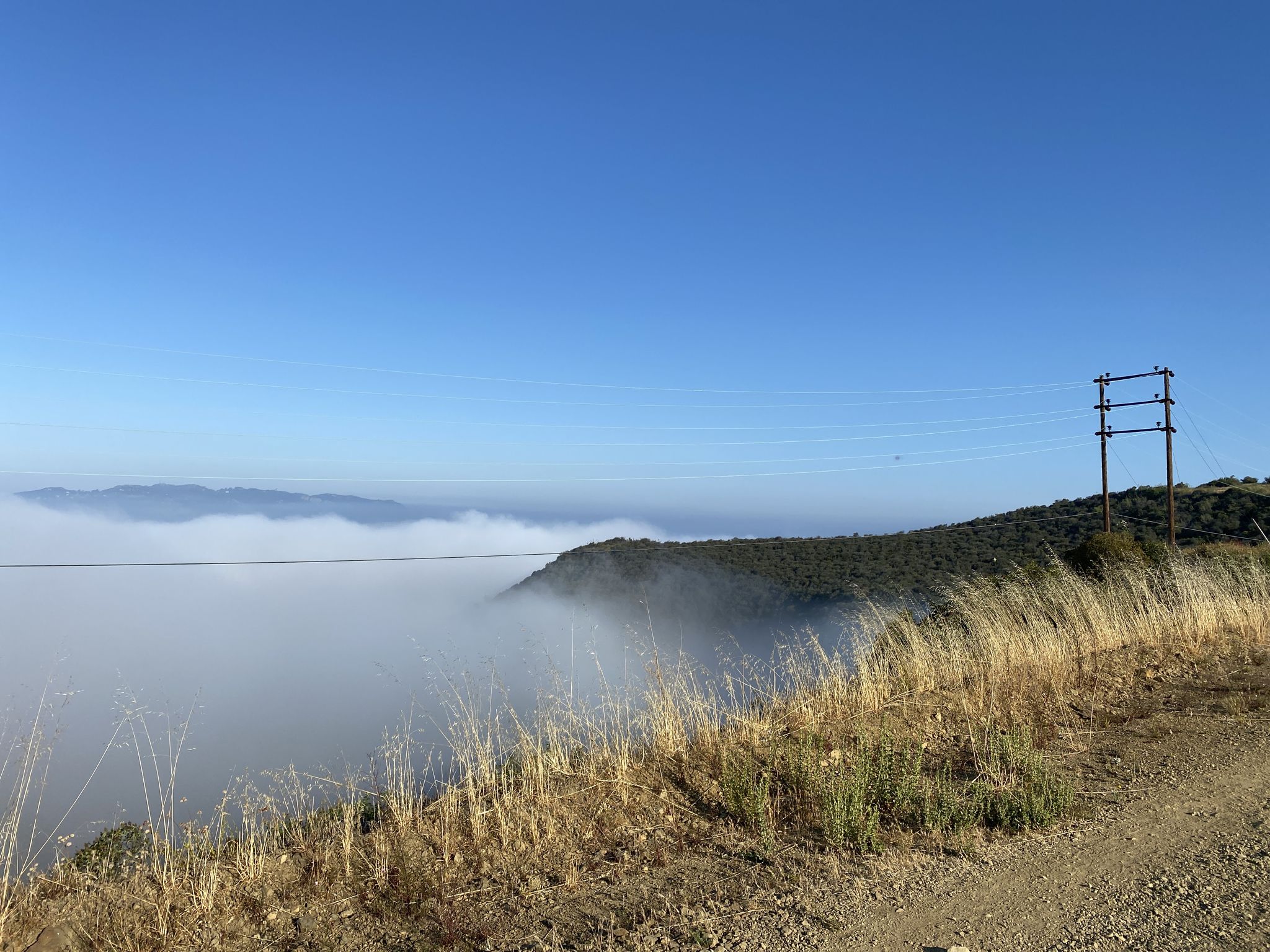 A foggy valley view from a hillside with dry grass and a utility pole. - Lemming Trail: Temescal Canyon Road to the Beach