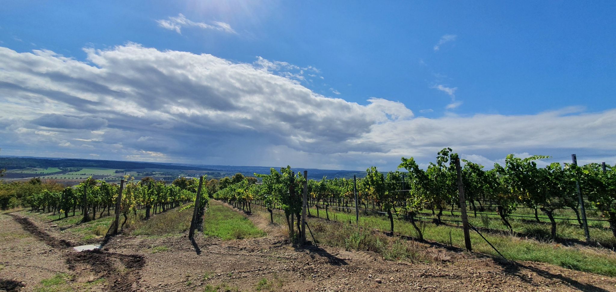 schöner Blick nach Naumburg