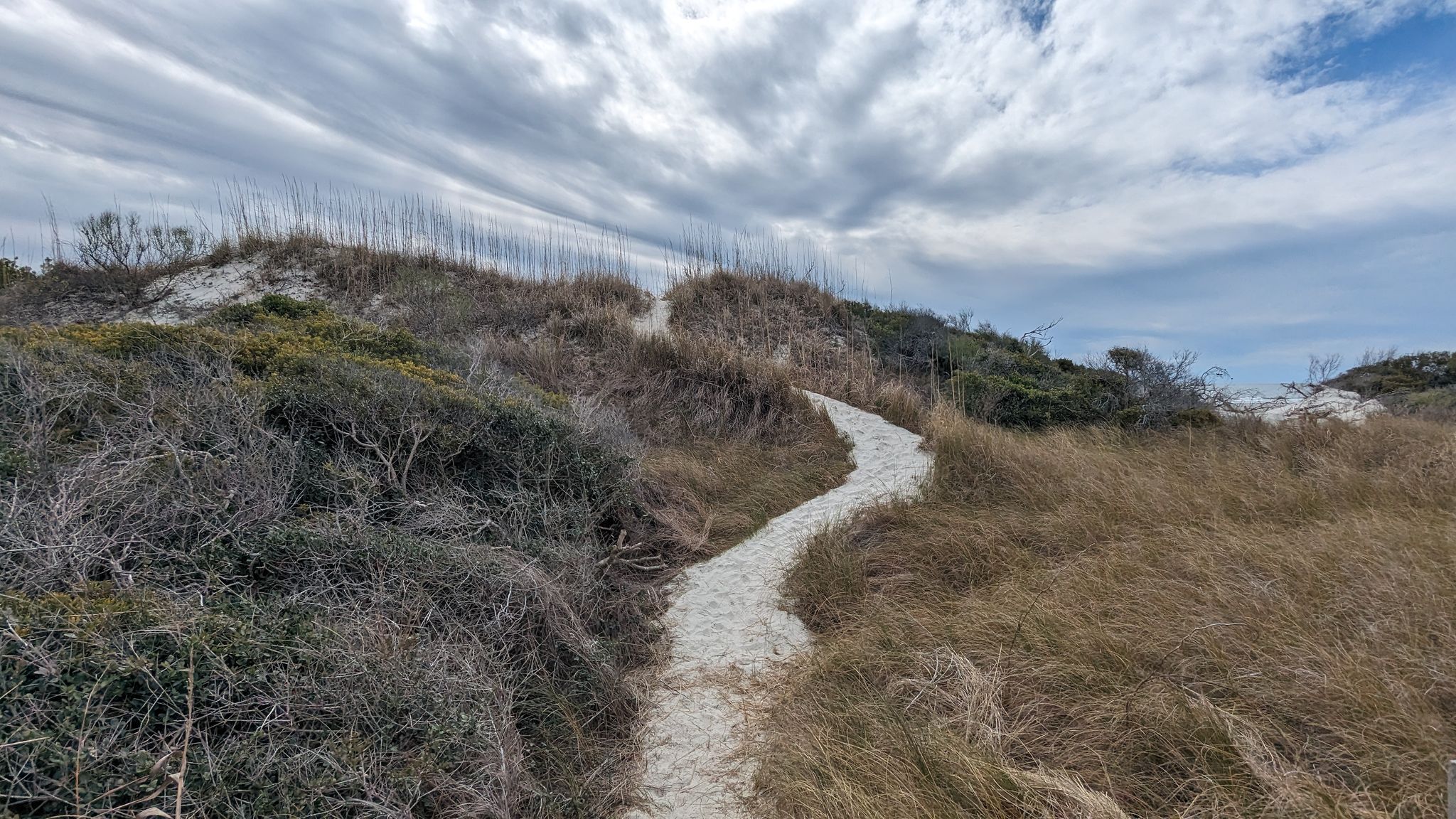Winding sandy path through dunes with dry grass and green bushes. - Hiking loop from Sunset Beach