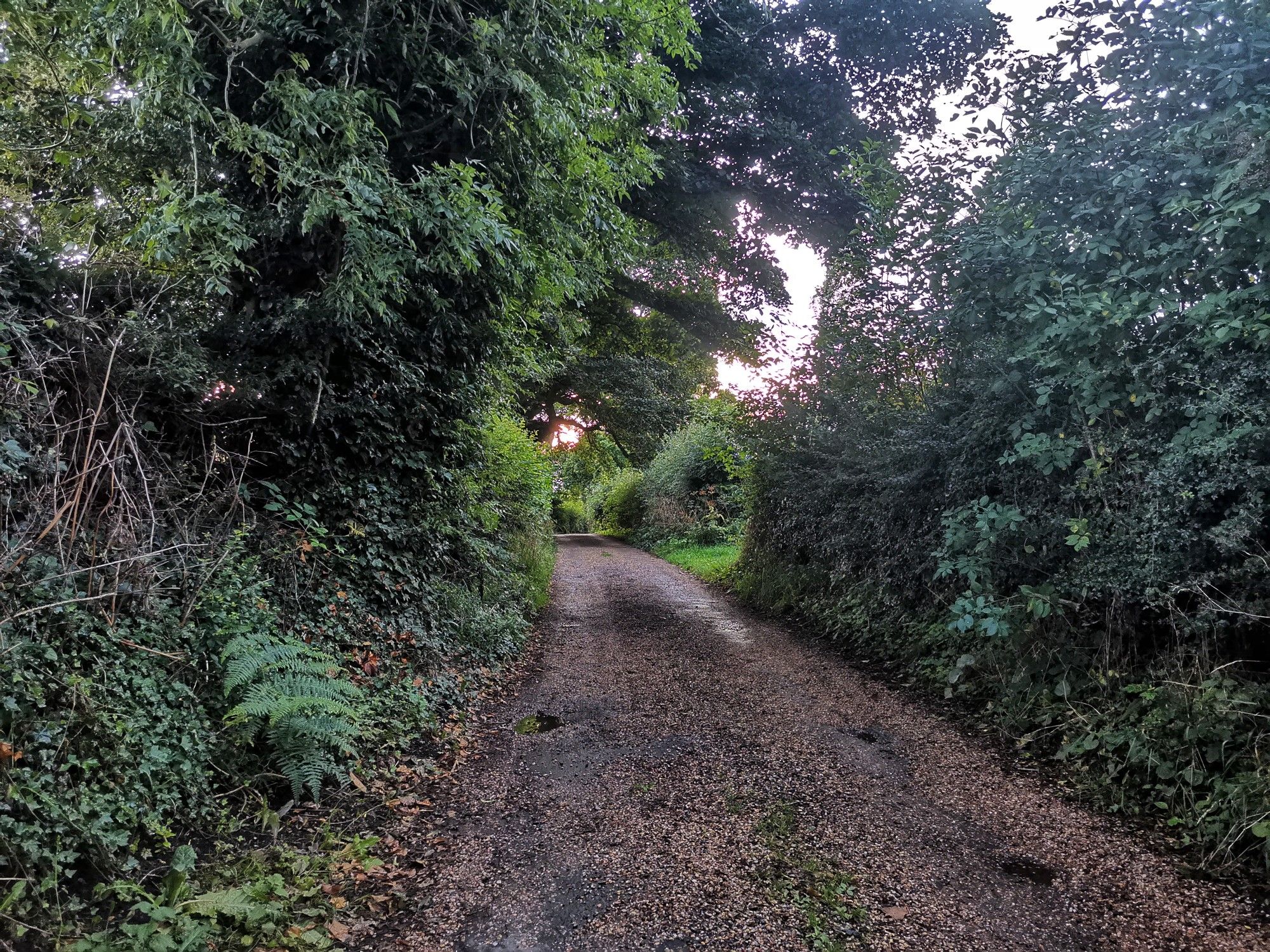 Graveyard Lane