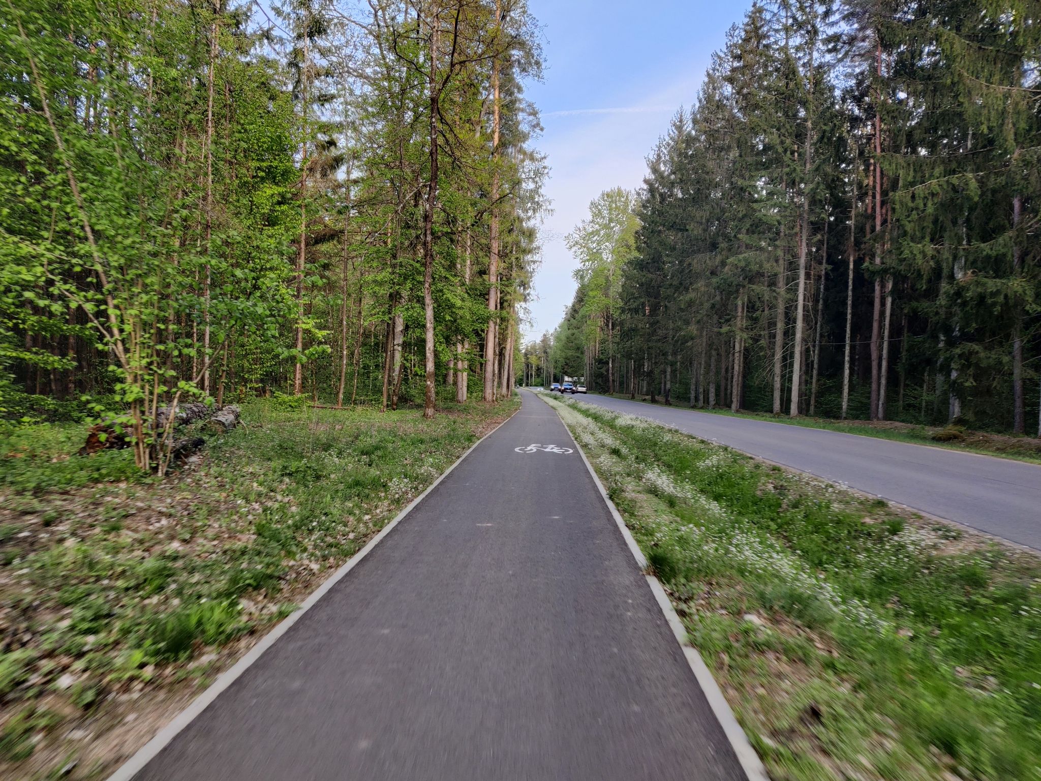 Trochę wąska ta droga, na pewno nie spełnia norm dwukierunkowej drogi dla rowerów.
