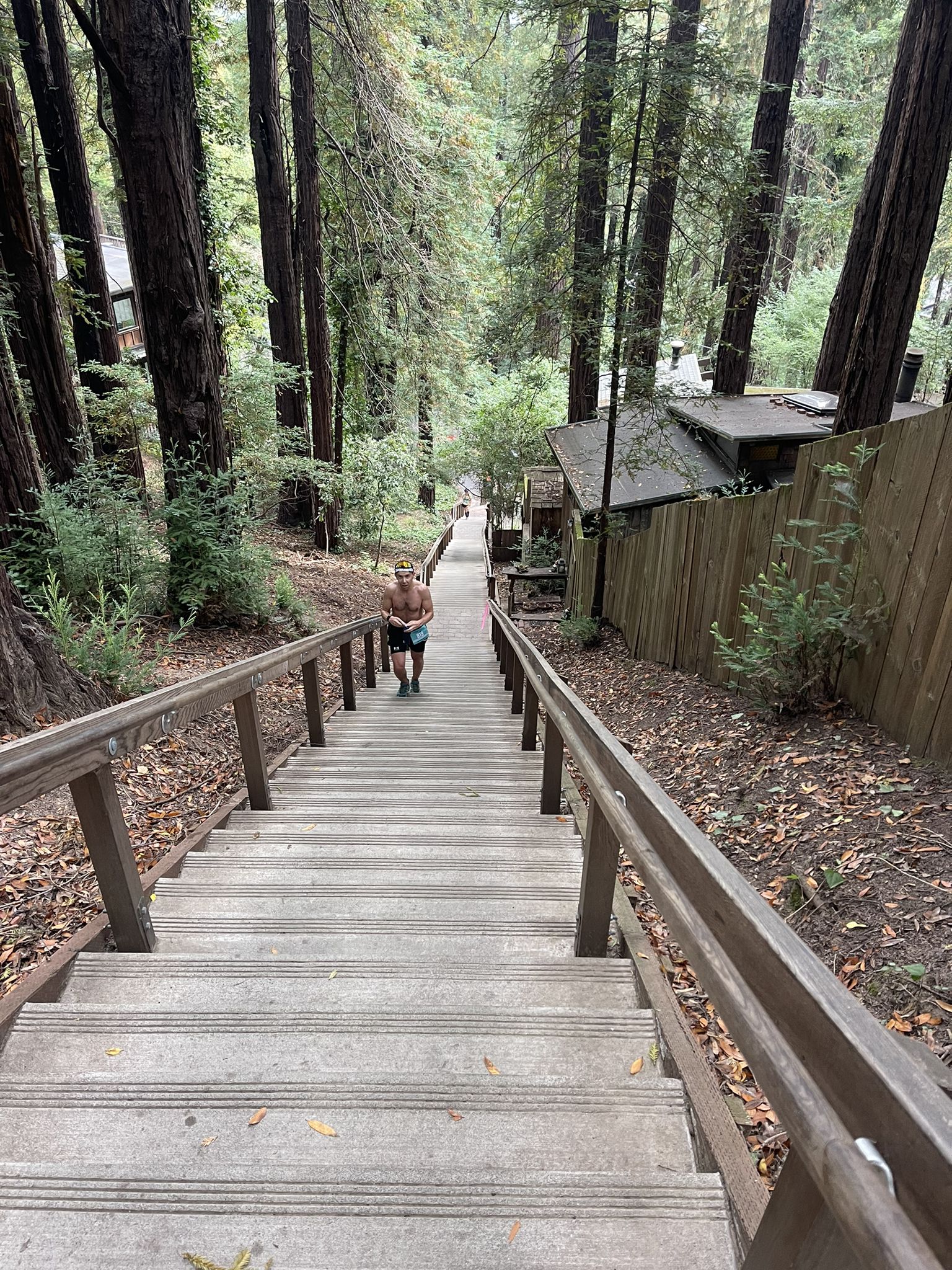 Man walking up a long, steep wooden staircase in a dense forest. - Dipsea Steps loop from Mill Valley