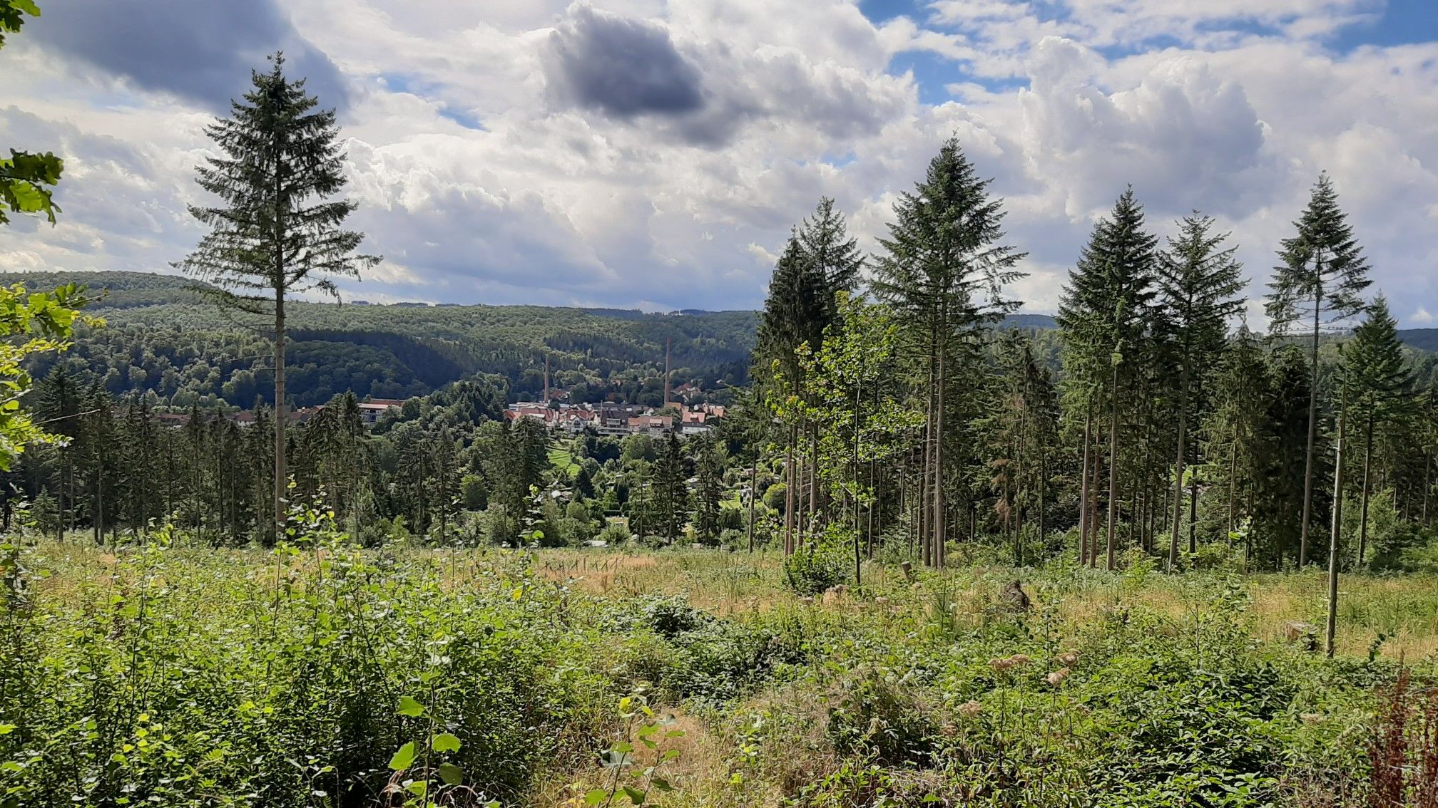 Blick auf Grünenplan vom Von-Langen-Weg