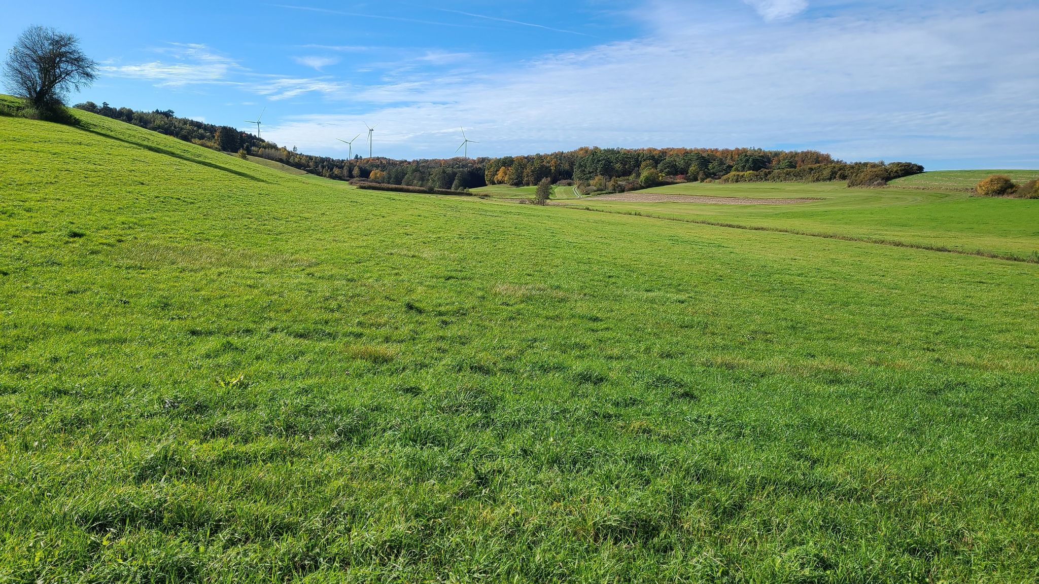 vom Fischbachtal