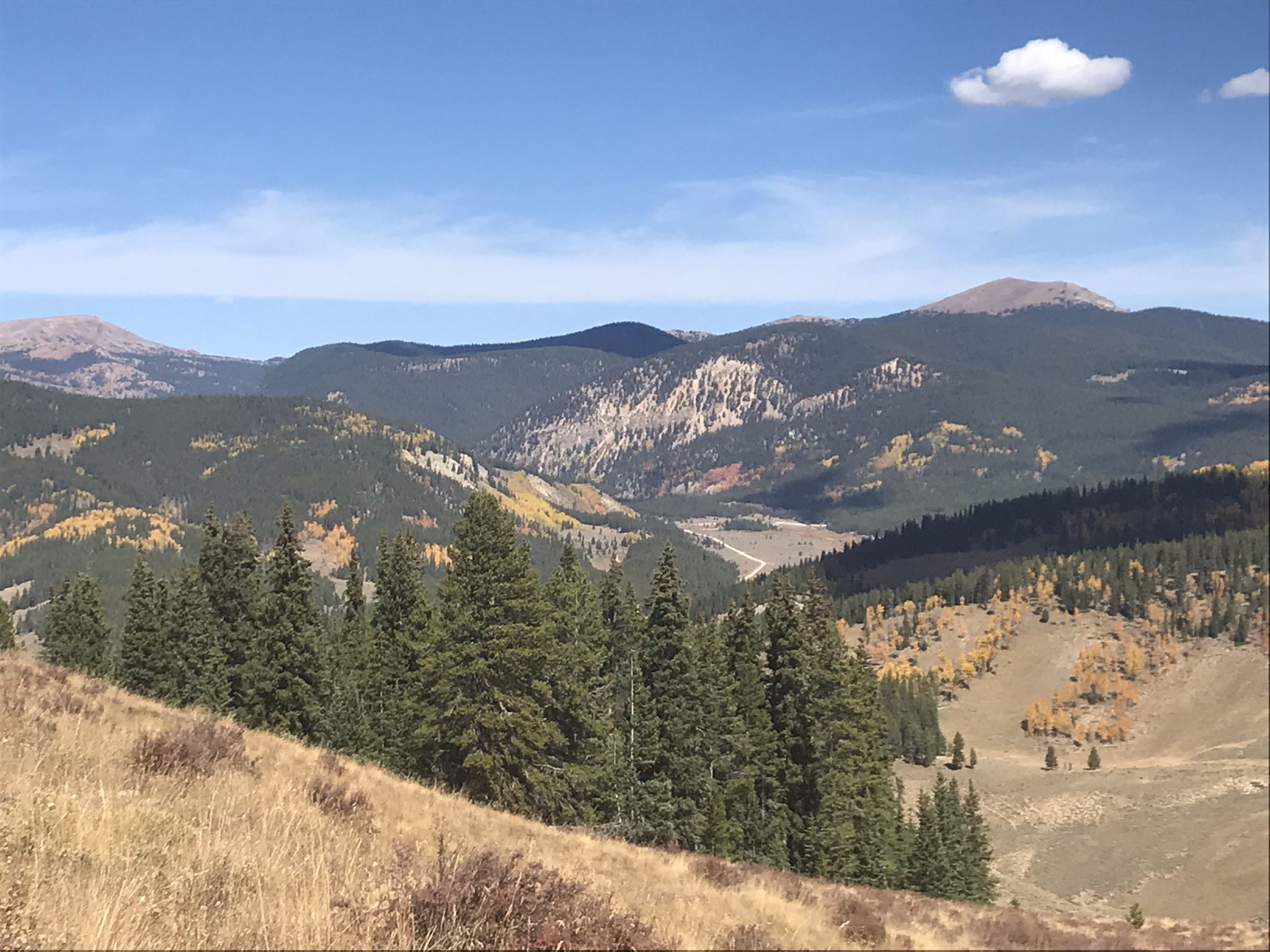 Expansive mountain landscape with pine forests and autumn trees under a clear blue sky. - Doctor Park Loop