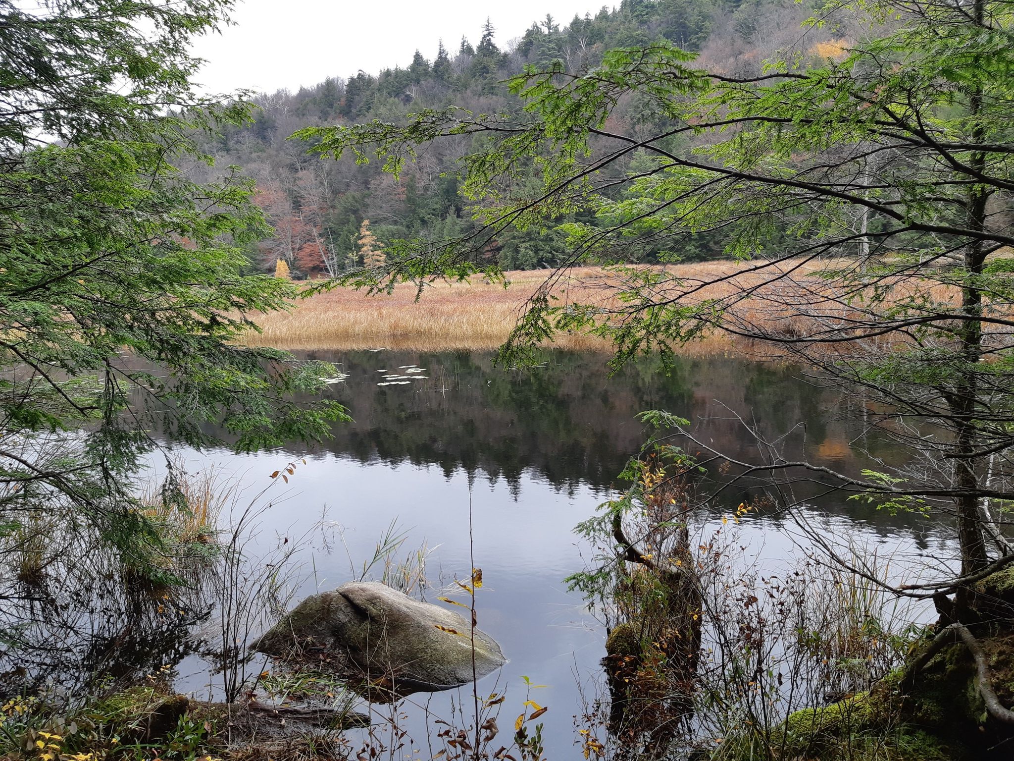 Calm lake with reflections, surrounded by green and brown forest under overcast sky. - Inman Pond Loop Trail