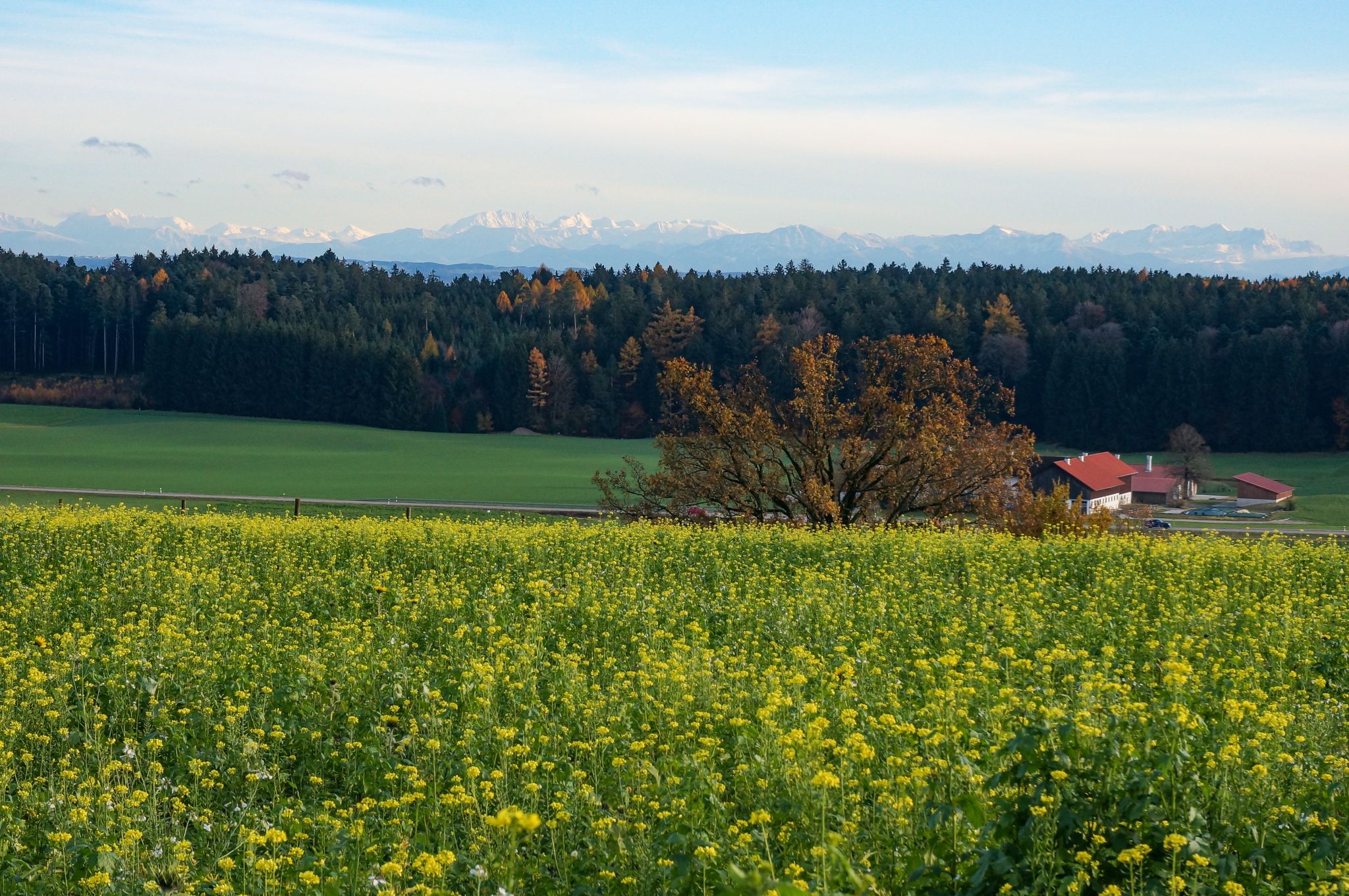 Klasse Alpenpanorama! 😍