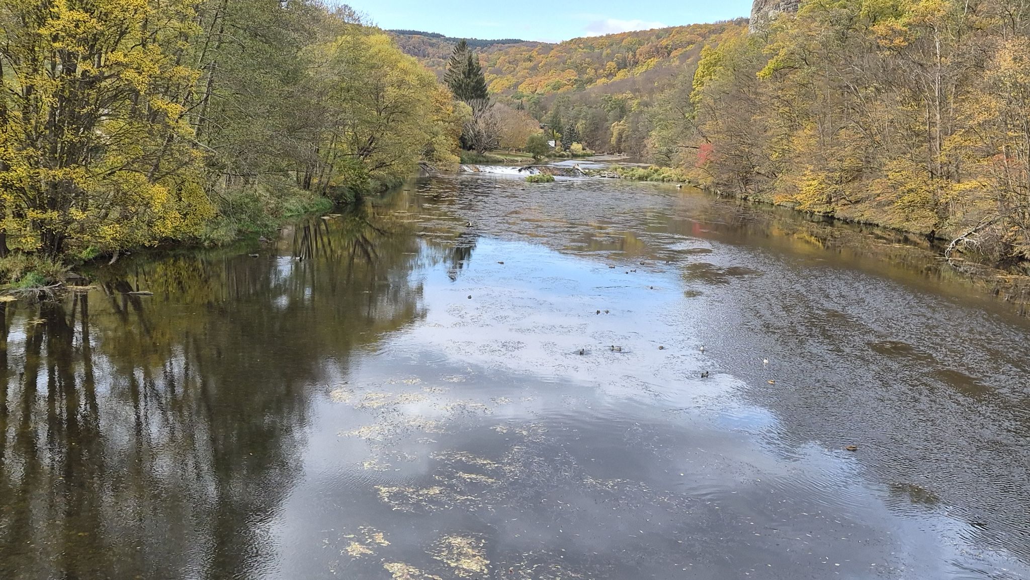 Thayabrücke in  Hardegg