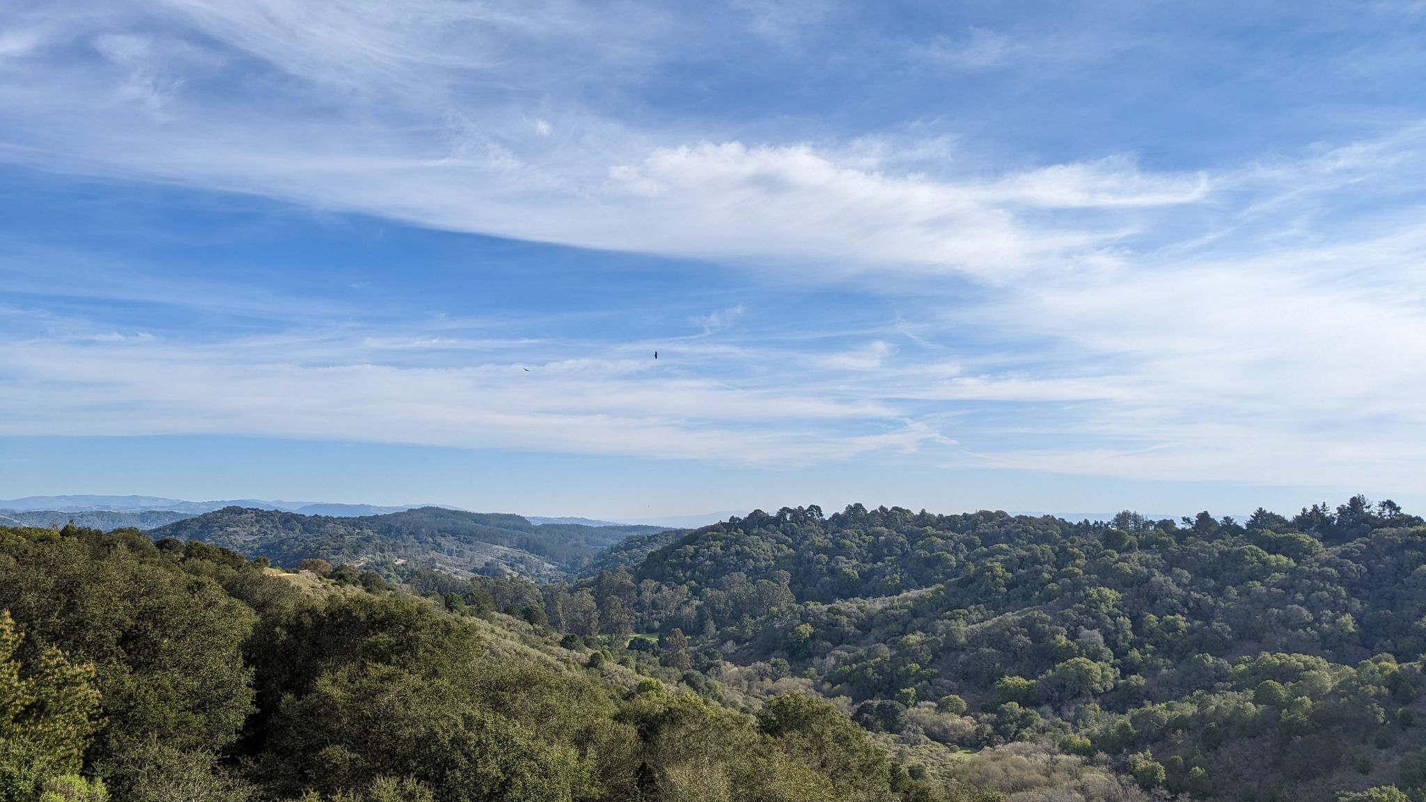 Expansive view of forested hills under a bright blue sky with clouds. - MacDonald and Grass Valley Trail Loop