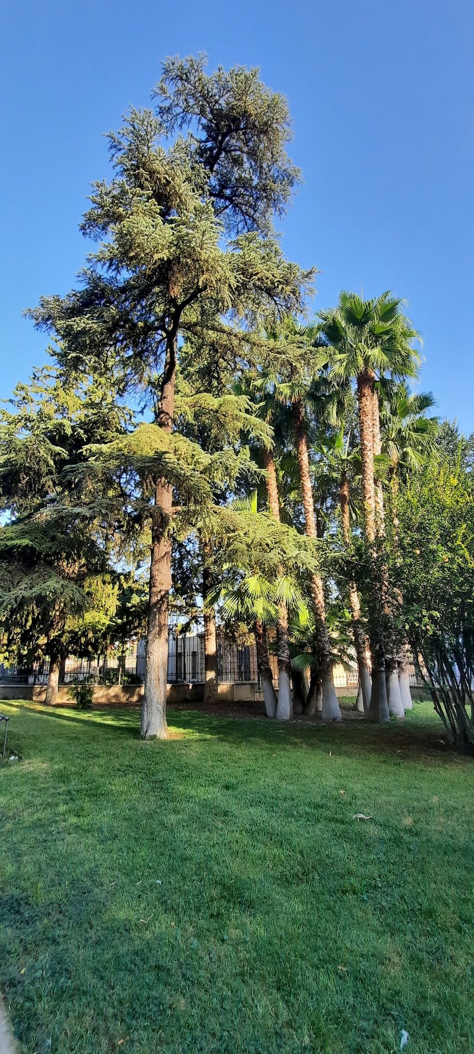 Parque de Gasset