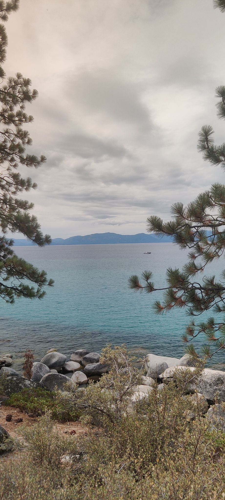 Cloudy day over a blue lake, framed by pine branches and rocky shore. - Secret Cove Trail