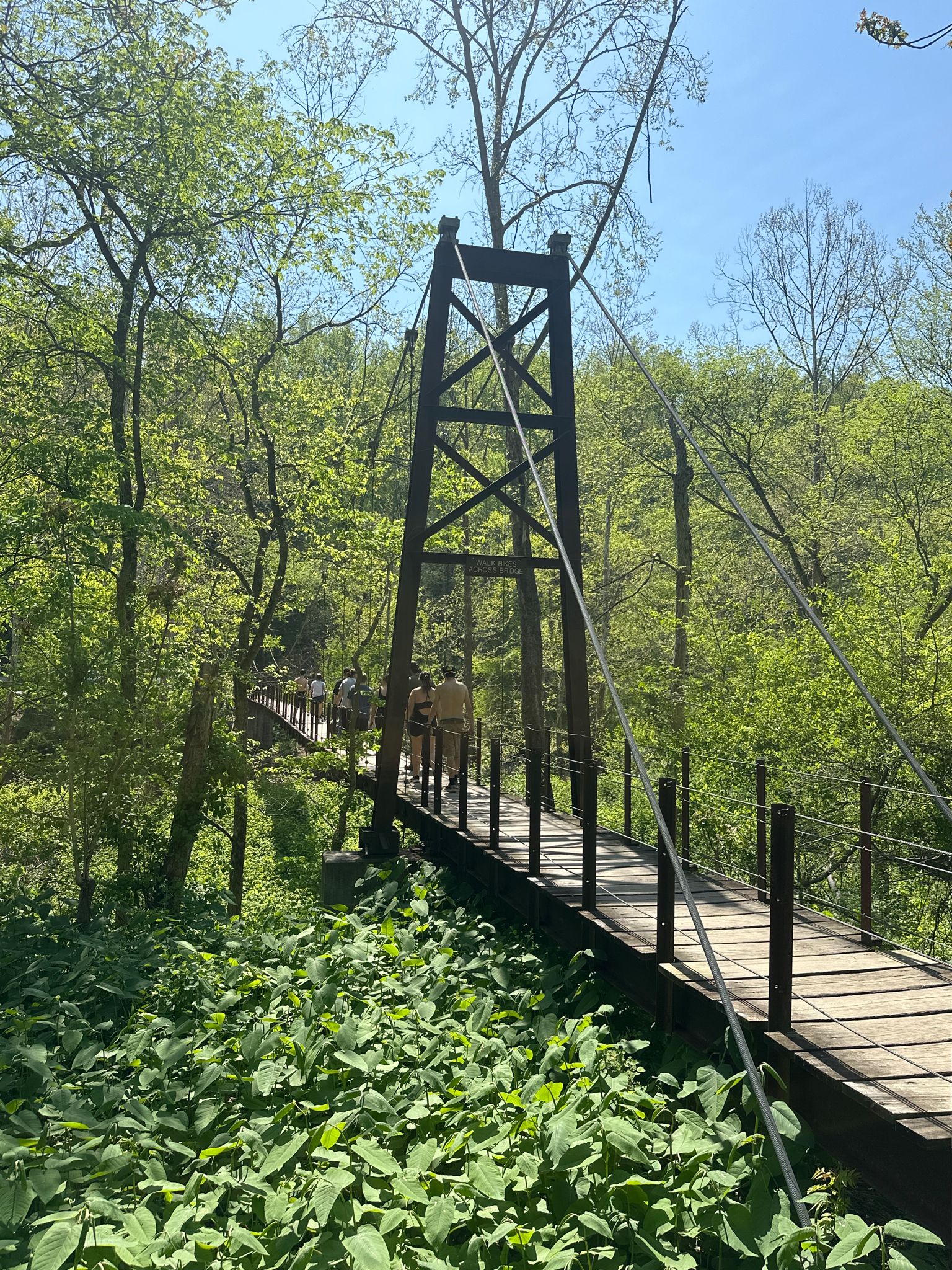 People walk across a wooden suspension bridge surrounded by green trees. - Forest Glen and Nun's Run Loop