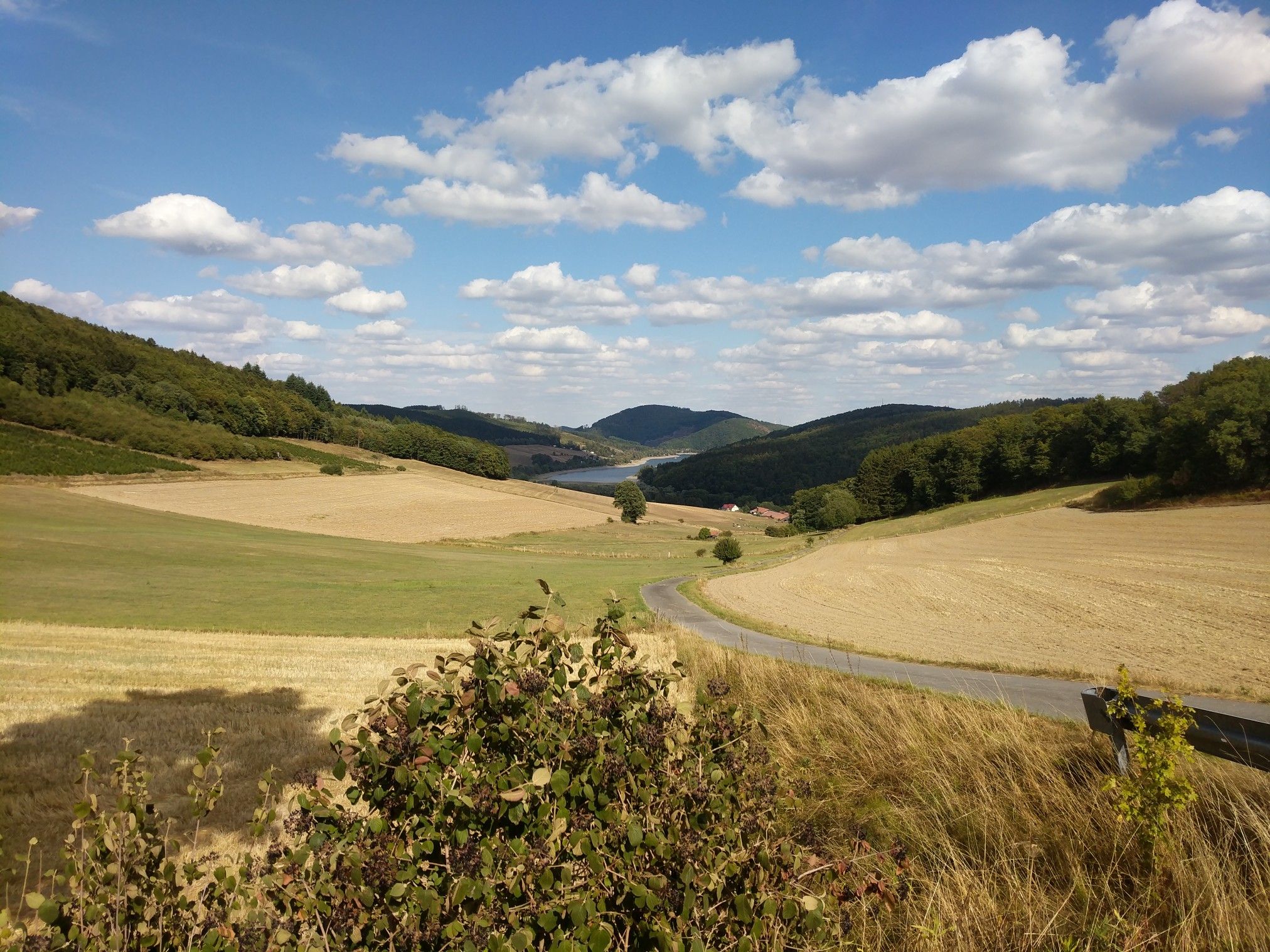 Dienelsee