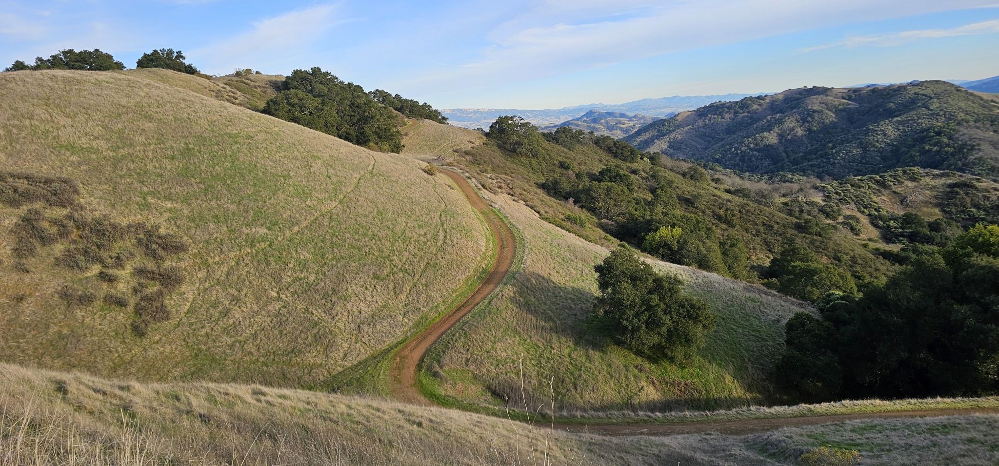 Winding dirt path on a grassy hillside with distant green valleys. - Bald Peaks Viewpoint – Bald Peaks Trail Viewpoint loop from Rancho Cañada del Oro Open Space Preserve Entrance