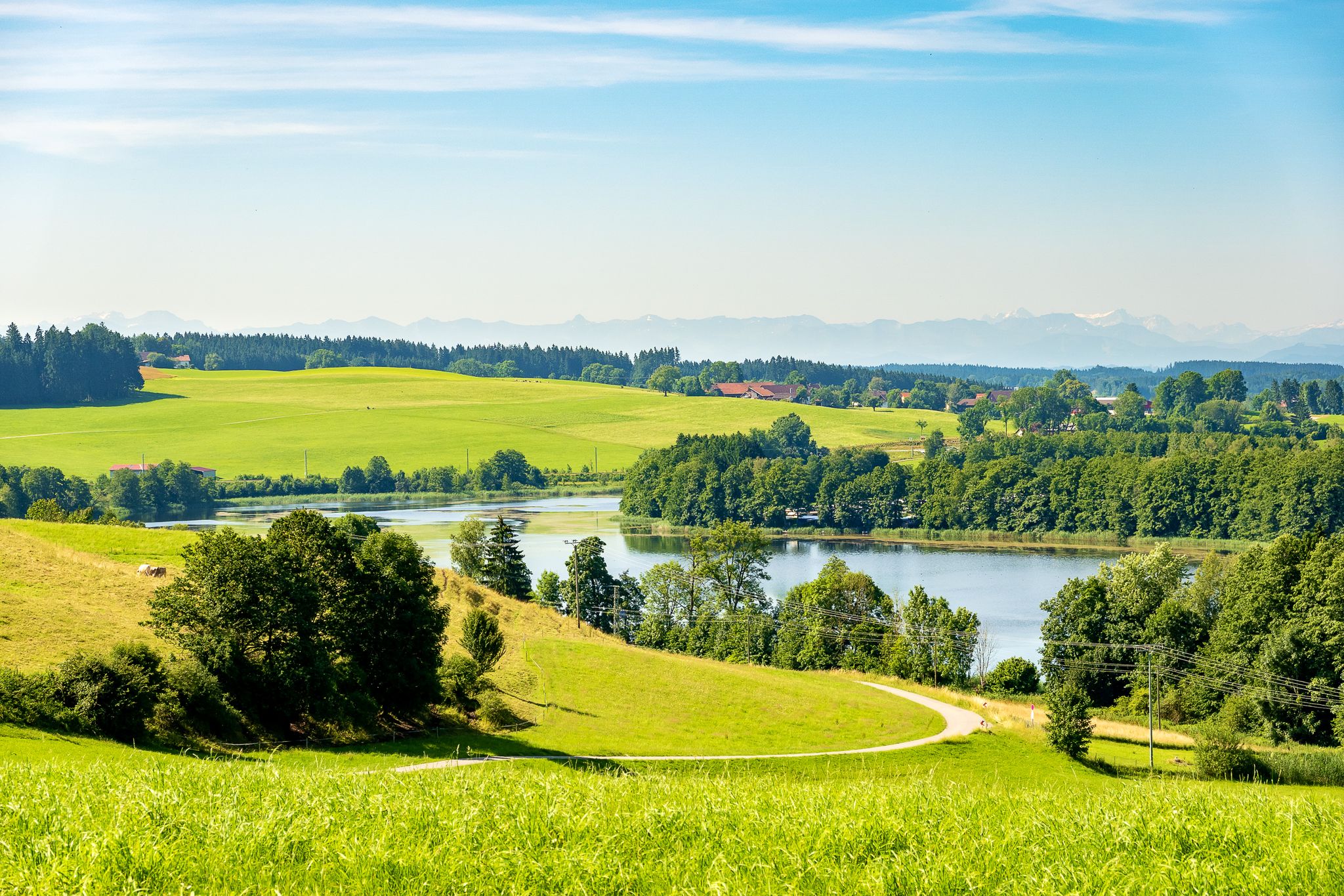 Ellerazhofer Weiher