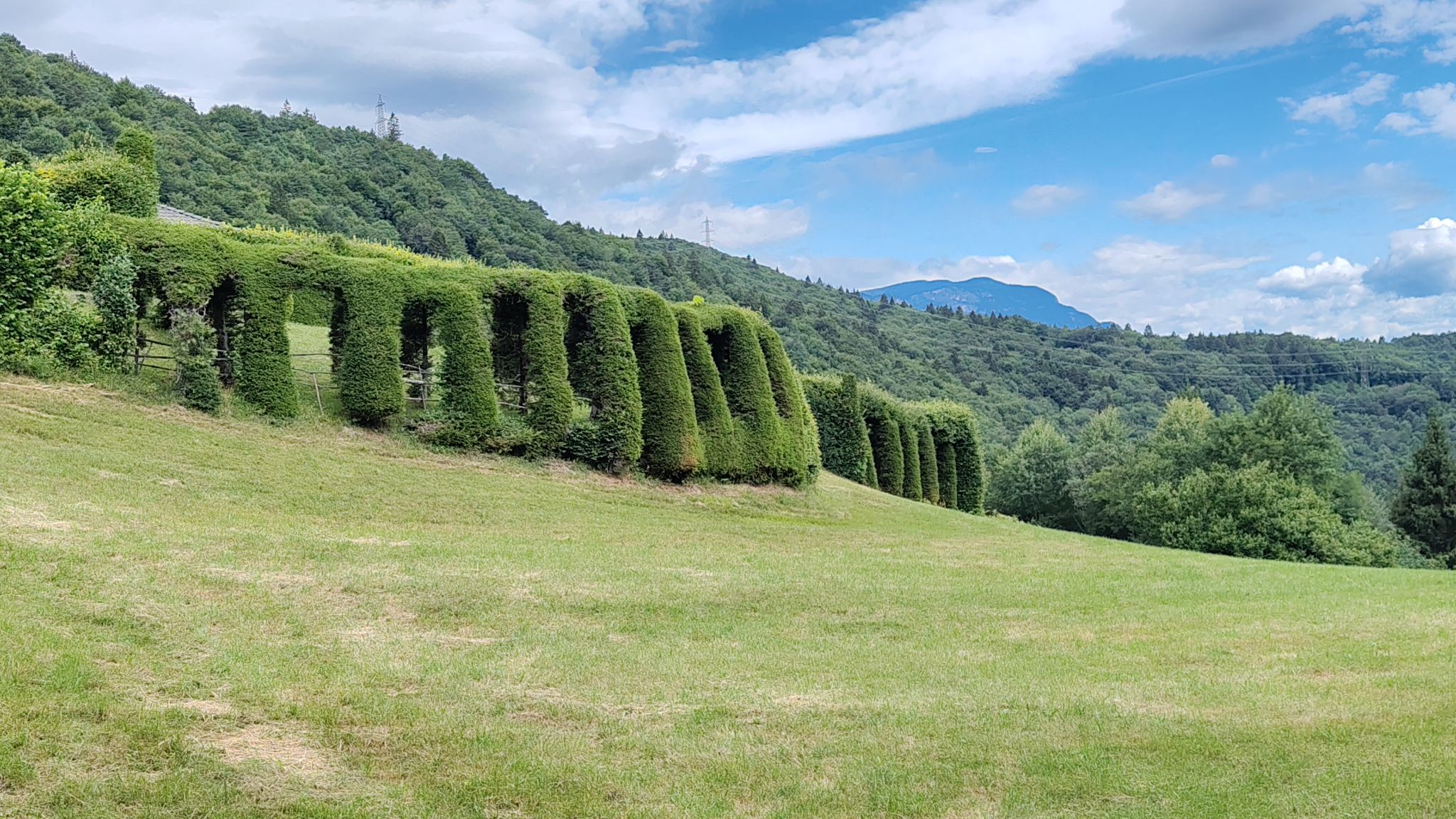 Il roccolo del Sauch