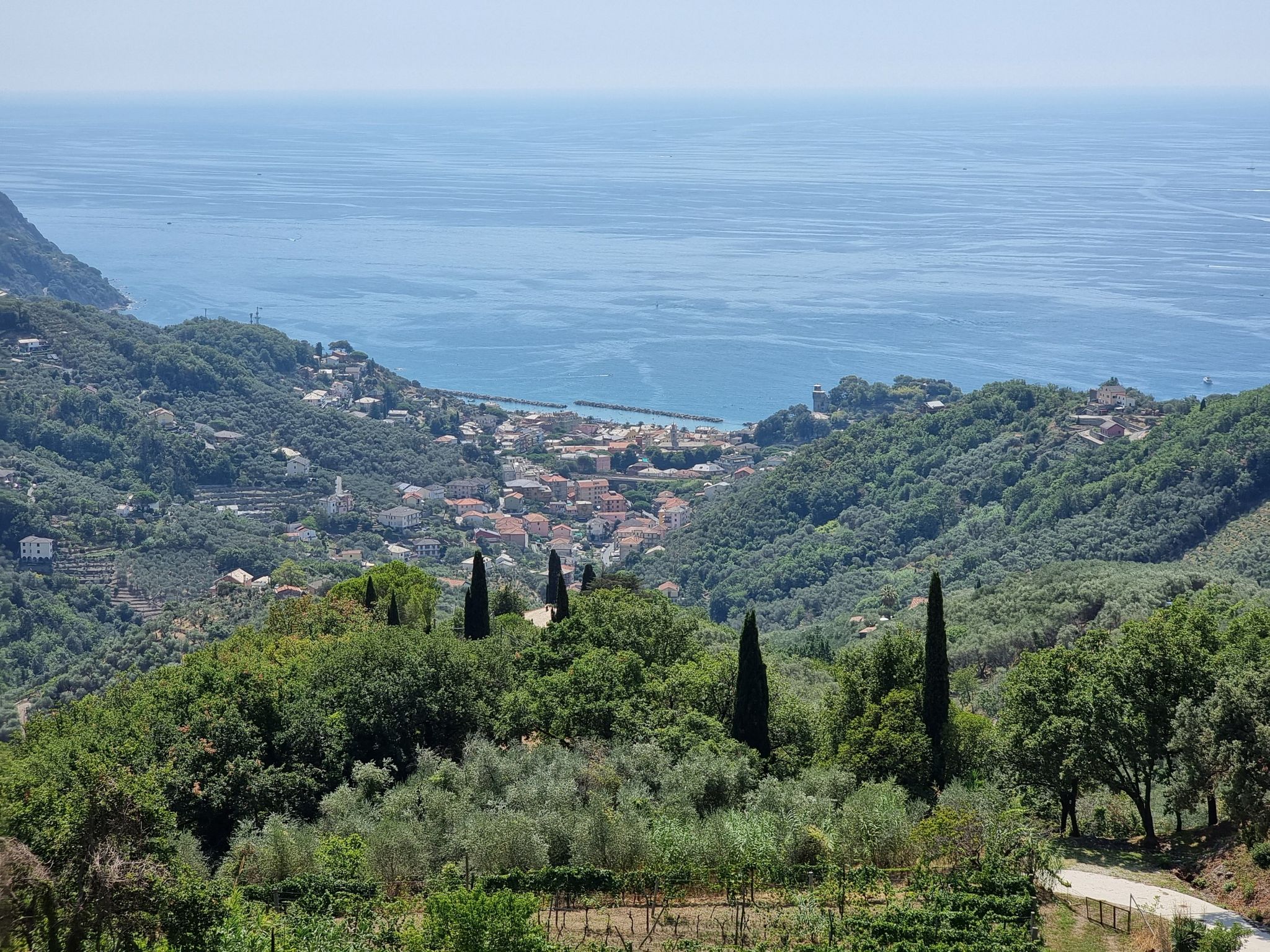 moneglia dalla SS1