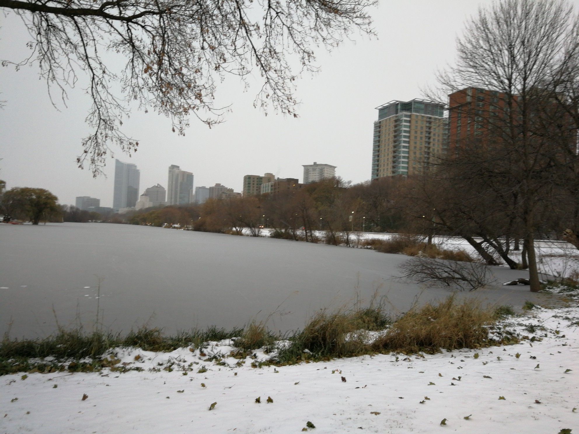 Frozen lake and snow-covered ground with bare trees under a grey sky. - Bradford Beach – Milwaukee Riverwalk loop from Milwaukee