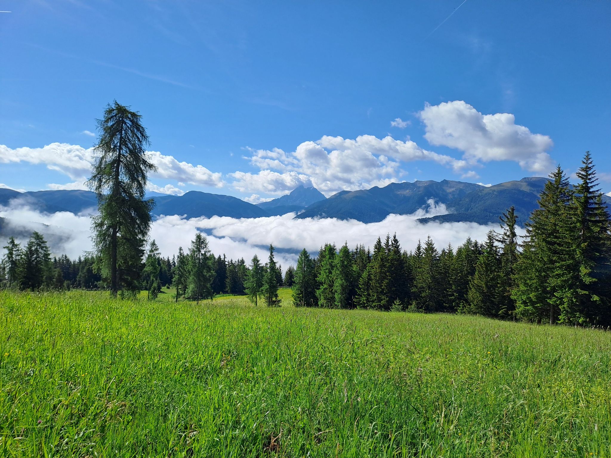 Rodenecker Alm