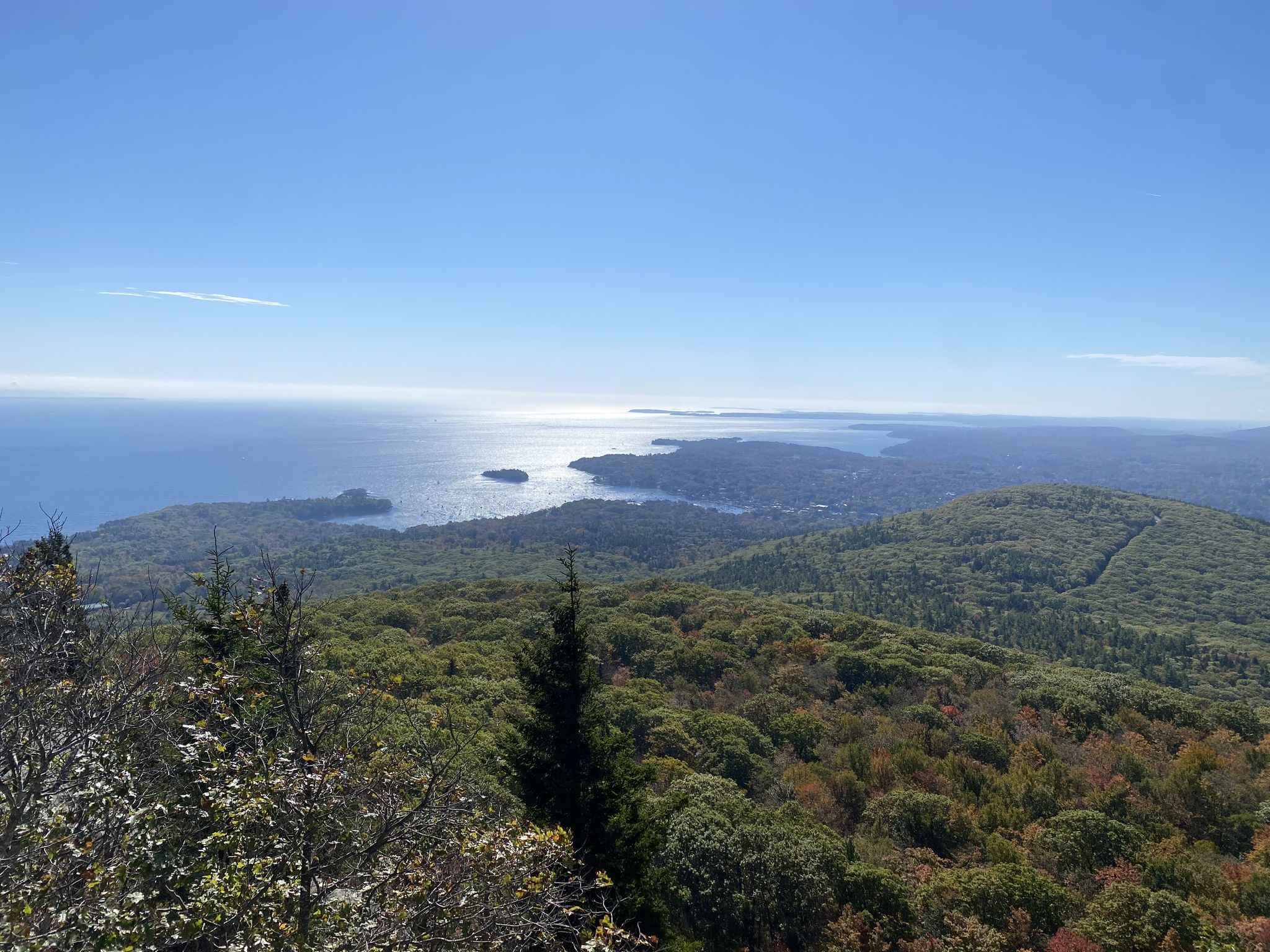 Panoramic view of forested hills meeting a large body of water under clear skies. - Mount Megunticook and Ocean Lookout Loop