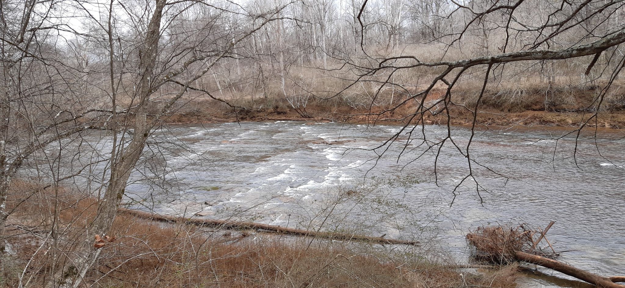 A wide river with rapids, surrounded by bare trees on an overcast day. - Bowmans Island Trail