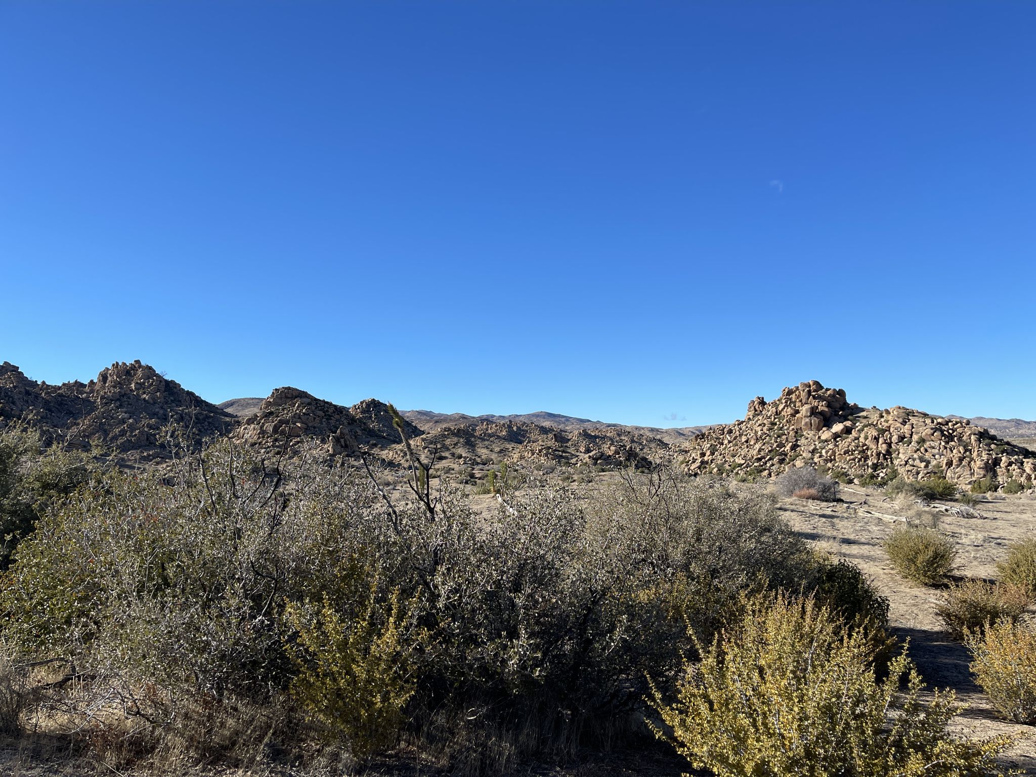 Rocky desert landscape with sparse bushes under a clear blue sky. - Running loop from Sawtooth Mountains Trailhead