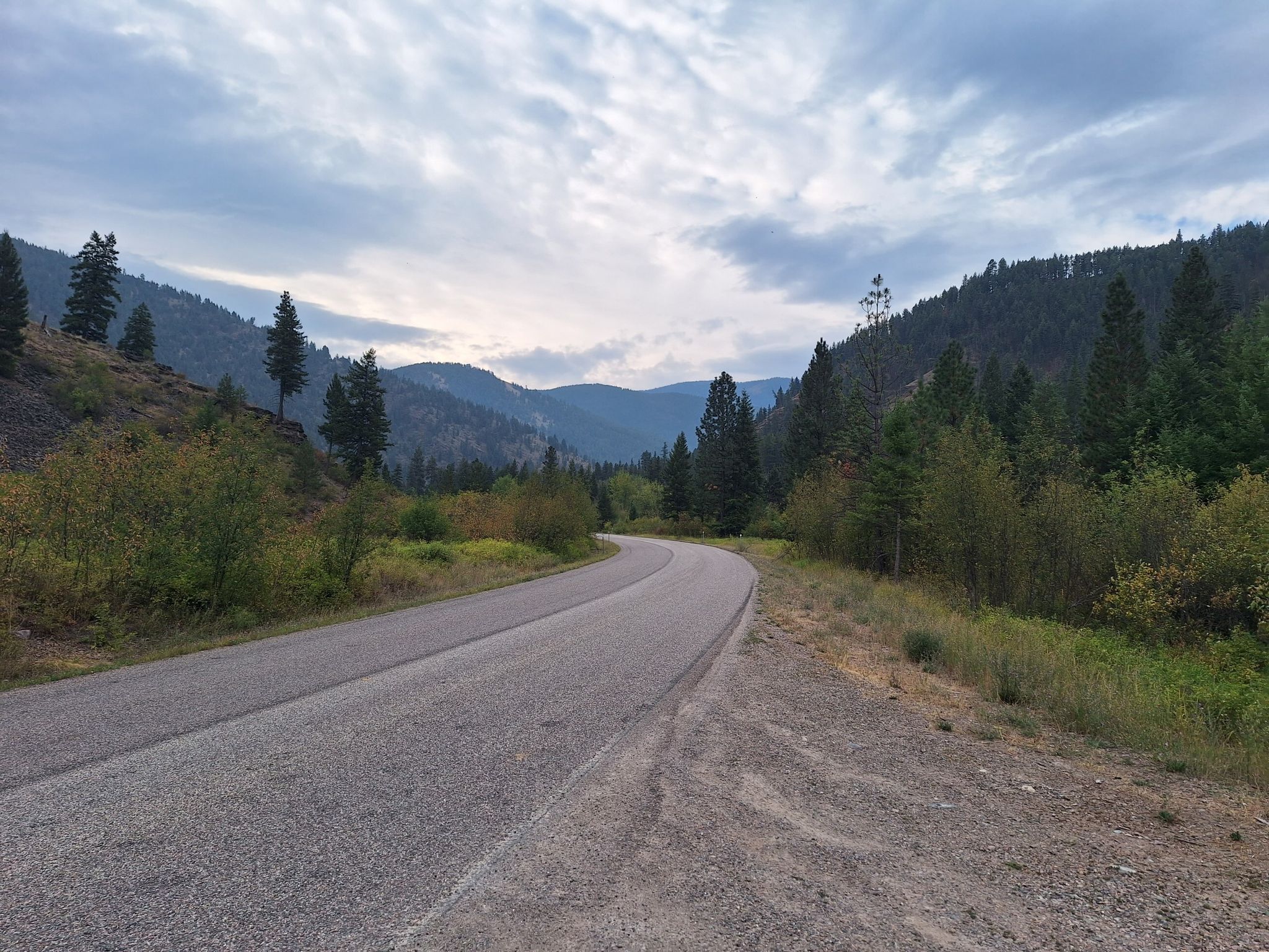 Paved road curves through a forested mountain valley under an overcast sky. - Petty Creek Road
