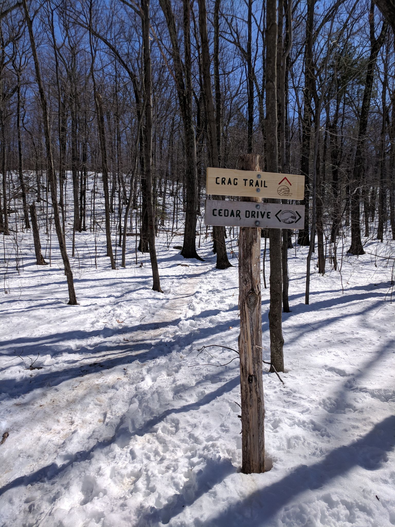 Wooden trail sign in a snowy forest with bare trees and long shadows. - View of the Catskill Mountains – Spring Farm Trailhead loop from Spring Farm Event Parking