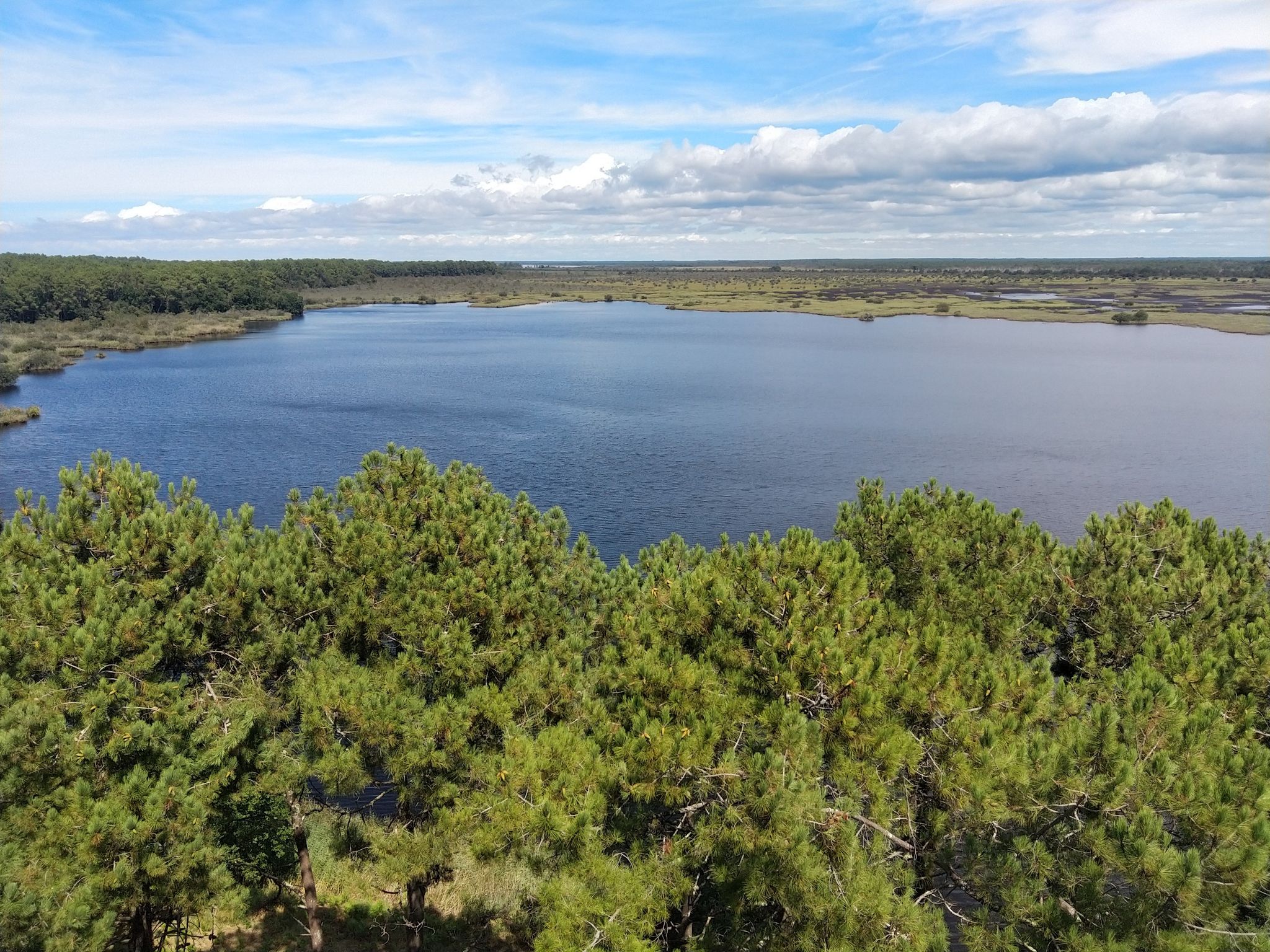 Étang vu depuis la tour de 75 M de haut