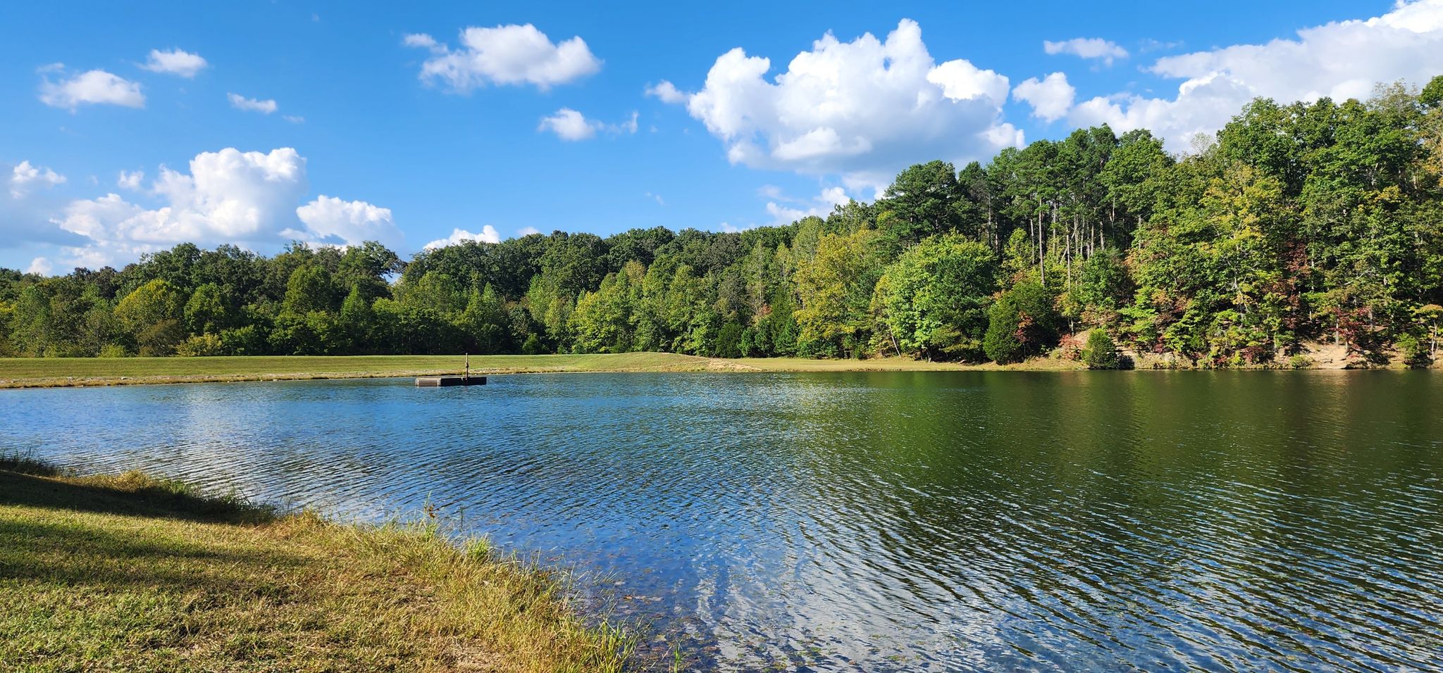 A calm lake with a small dock, surrounded by green trees under a blue sky. - Montgomery Bell North Loop