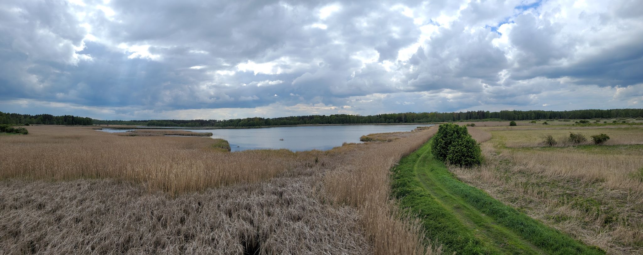 Panorama na staw "Elżbieta".