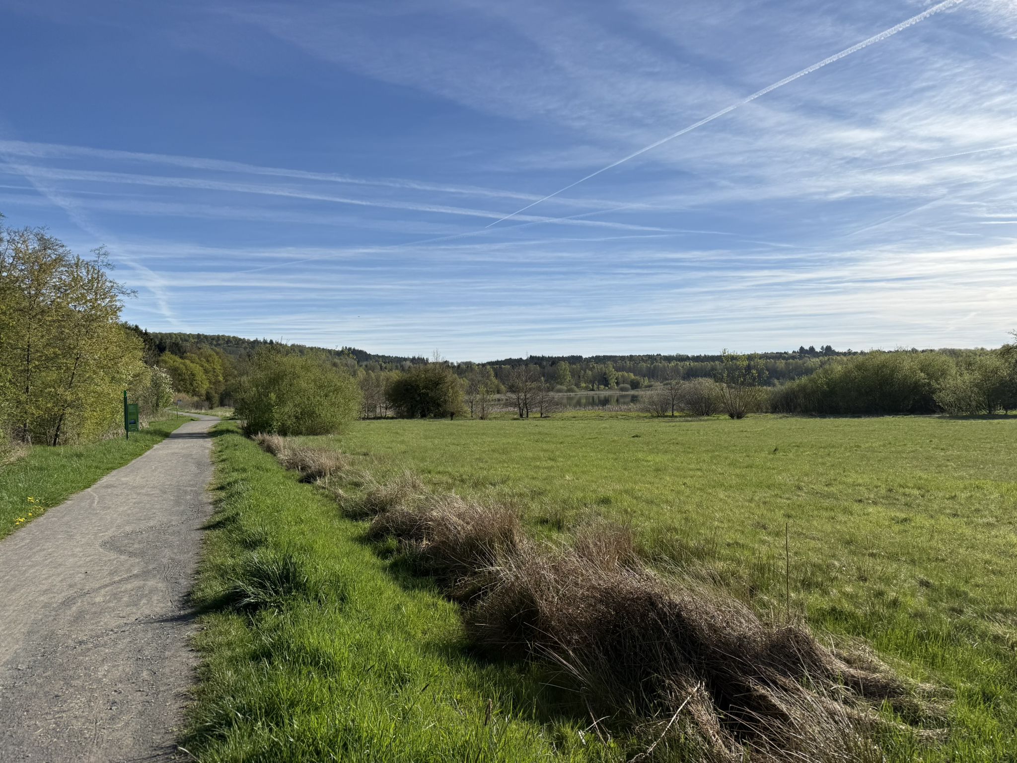 Blick auf den Jungfernweiher