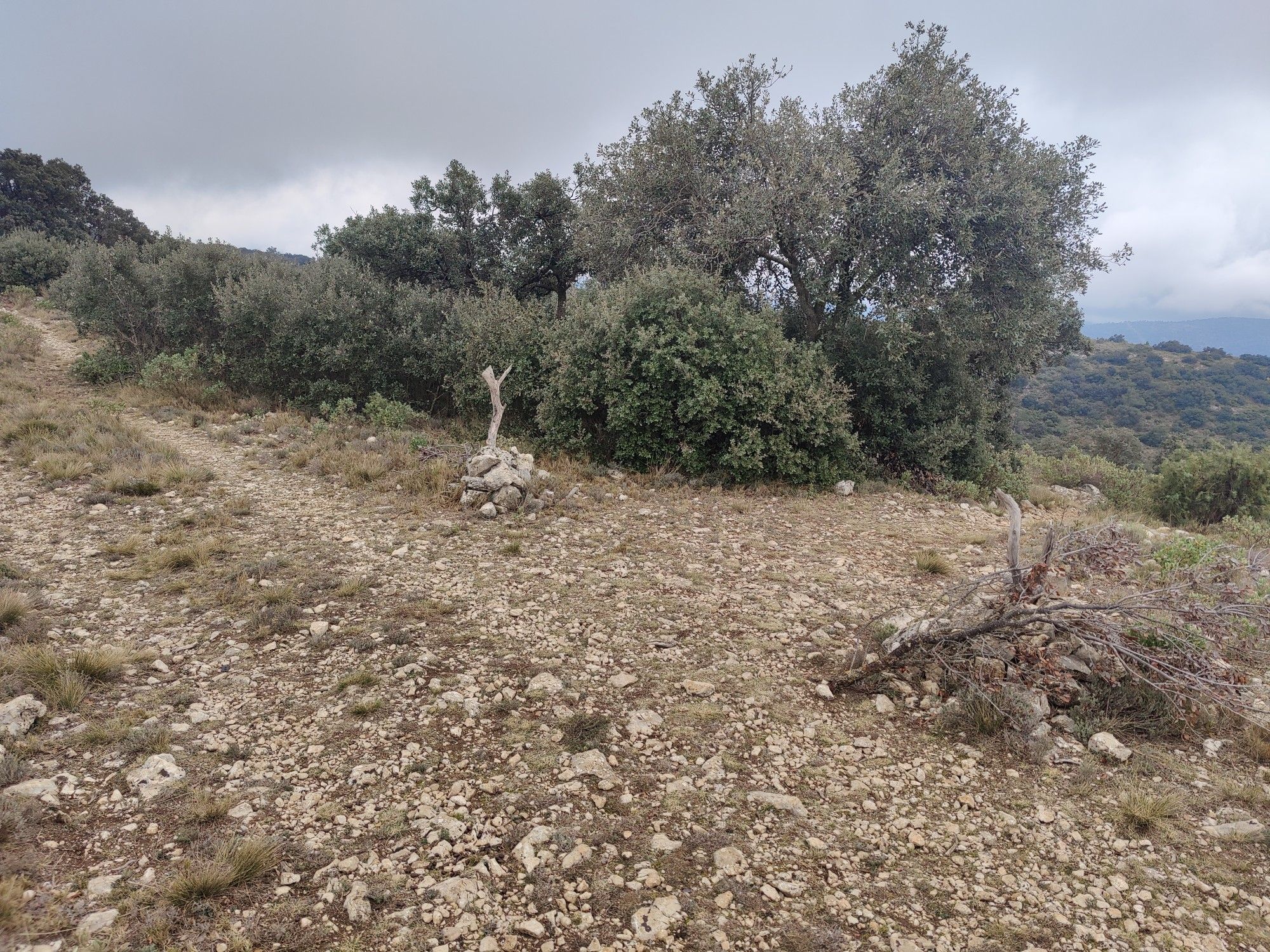 Cruce Senda San Antoni