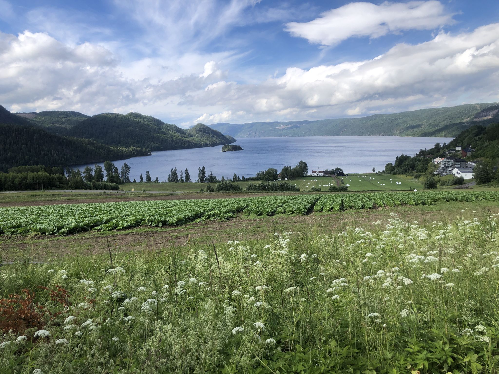 Am Holsfjord
