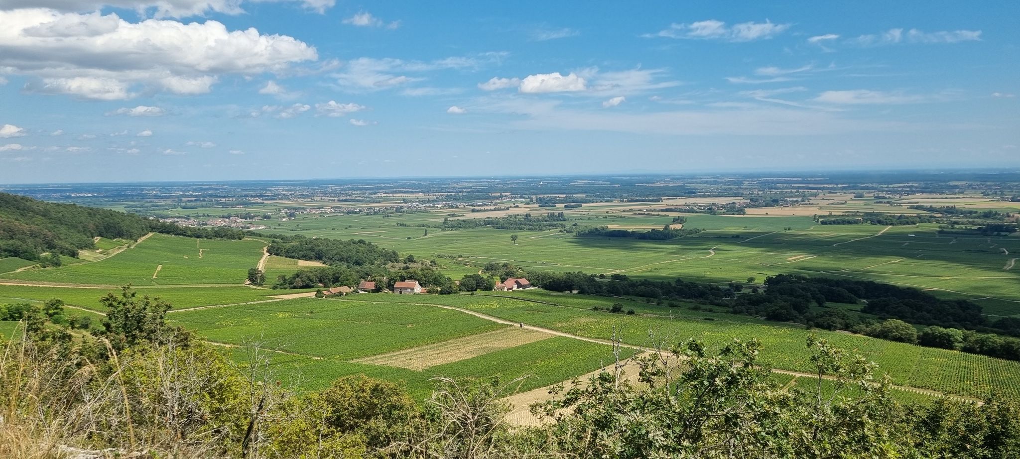 mirador